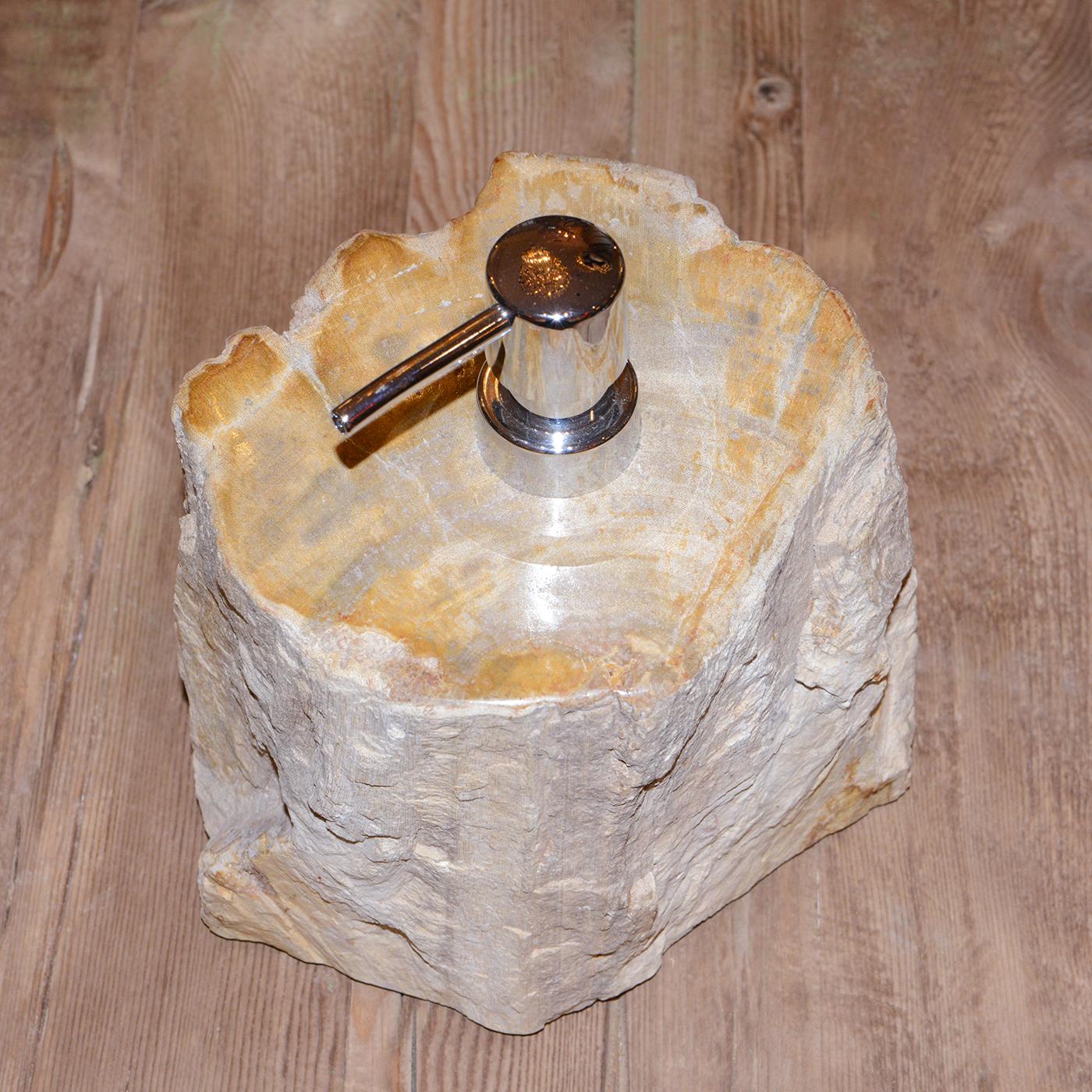 Petrified Wood B Soap Dispenser 1