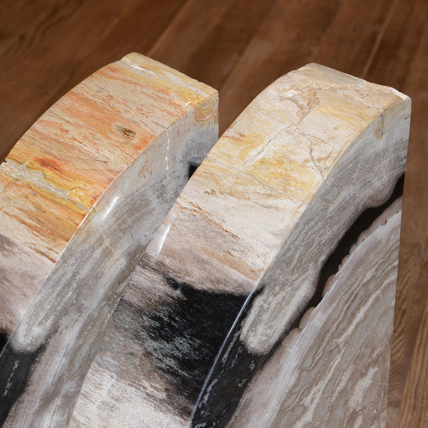 Petrified Wood Big Set of 2 Bookends For Sale 4
