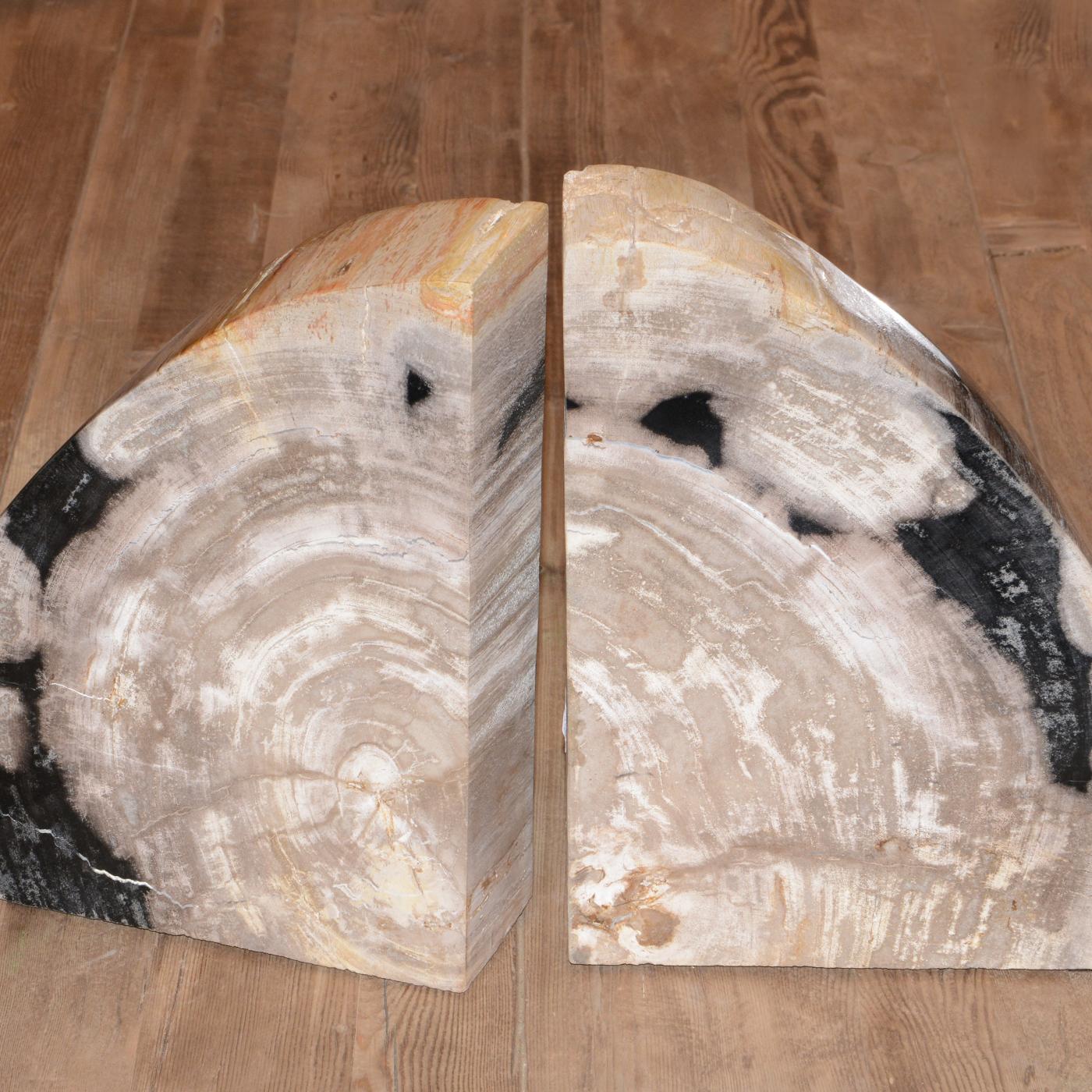 Petrified Wood Big Set of 2 Bookends For Sale 5