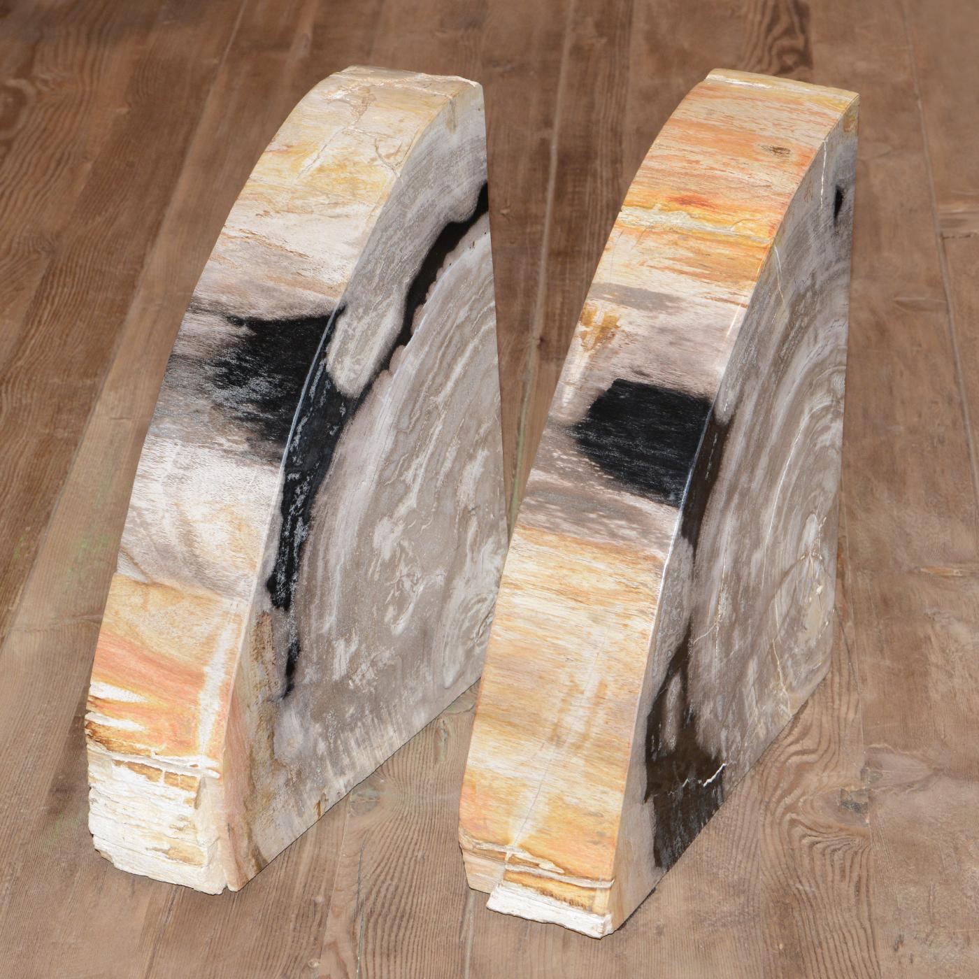 Petrified Wood Big Set of 2 Bookends In New Condition For Sale In Paris, FR