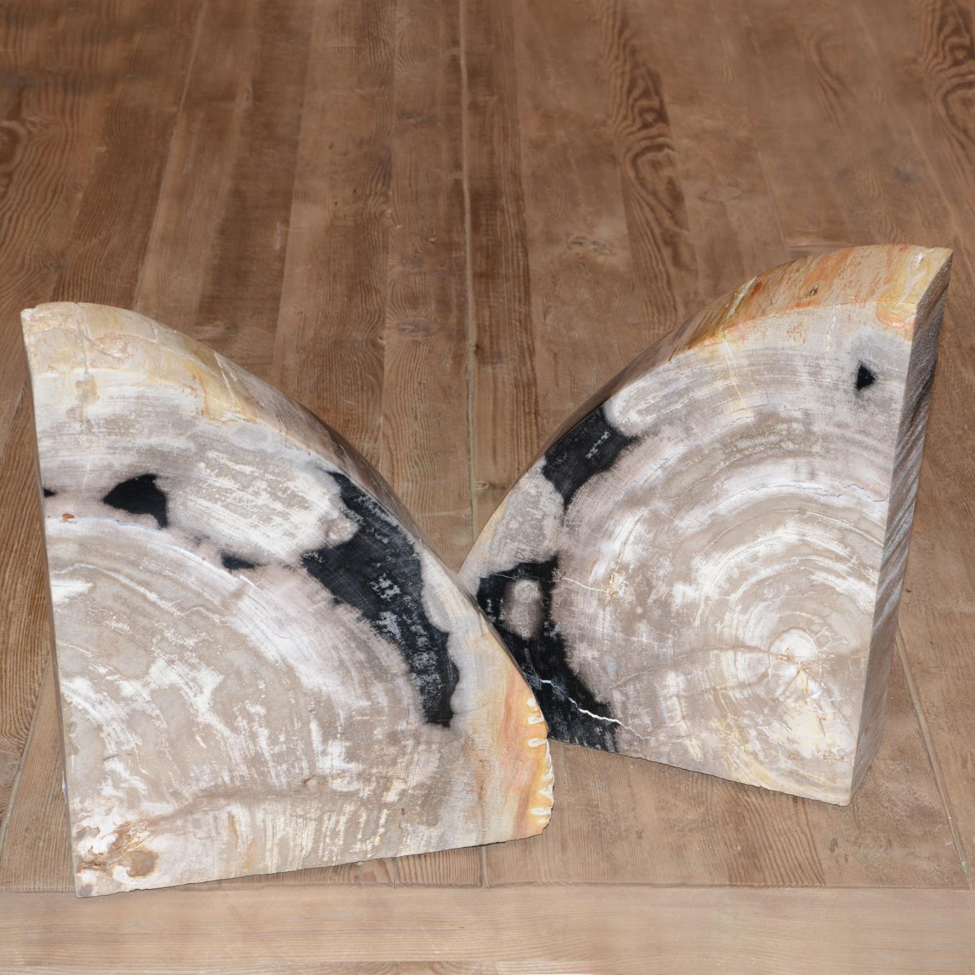 Contemporary Petrified Wood Big Set of 2 Bookends For Sale