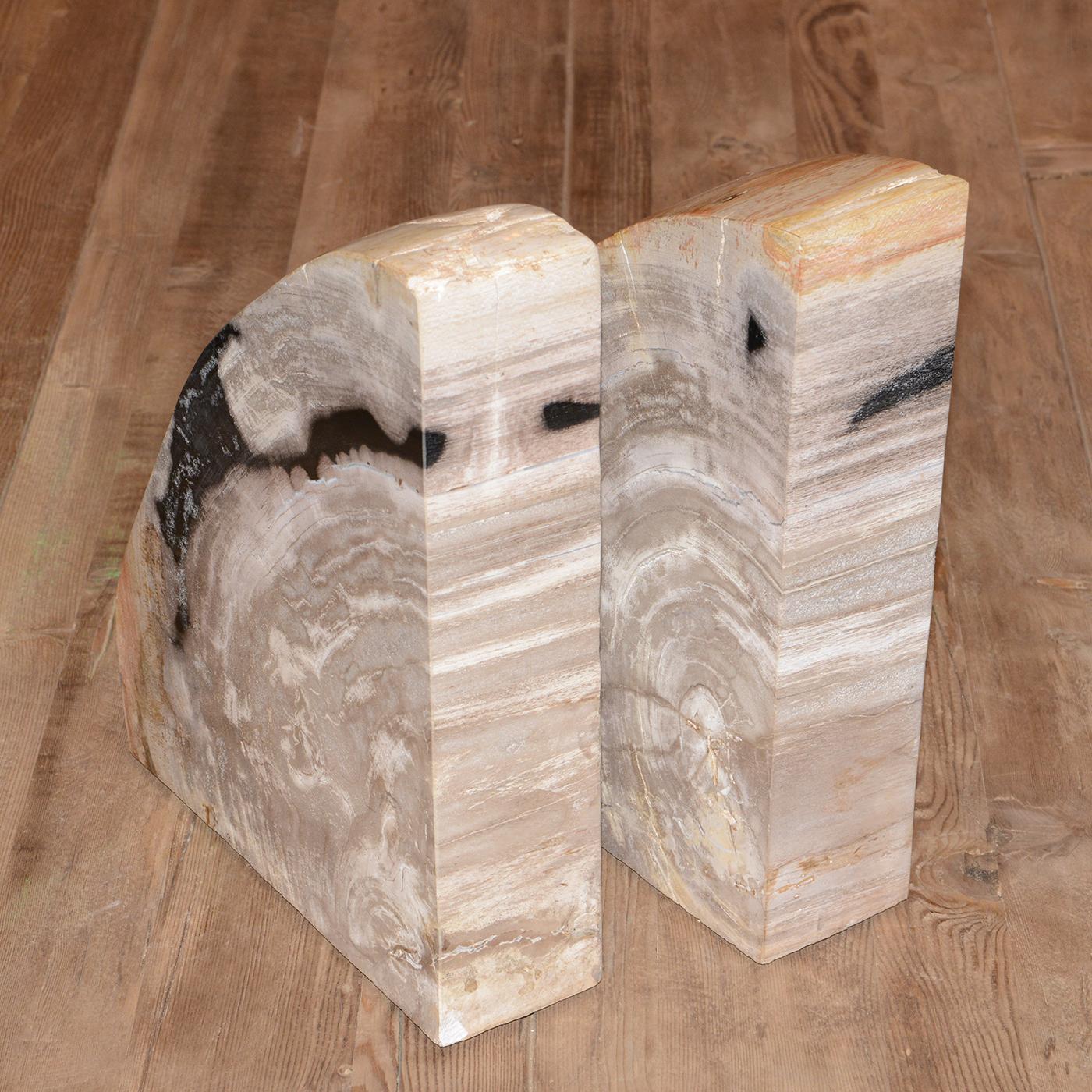 Petrified Wood Big Set of 2 Bookends For Sale 1