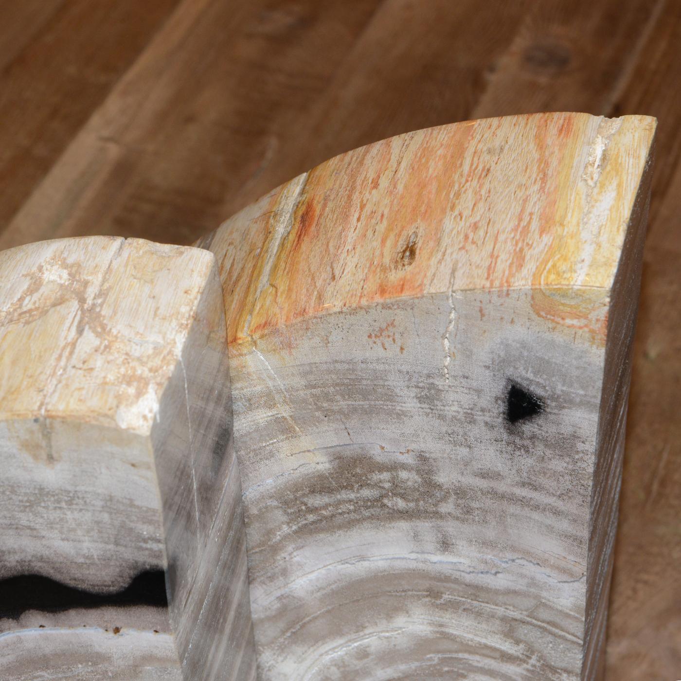 Petrified Wood Big Set of 2 Bookends For Sale 2