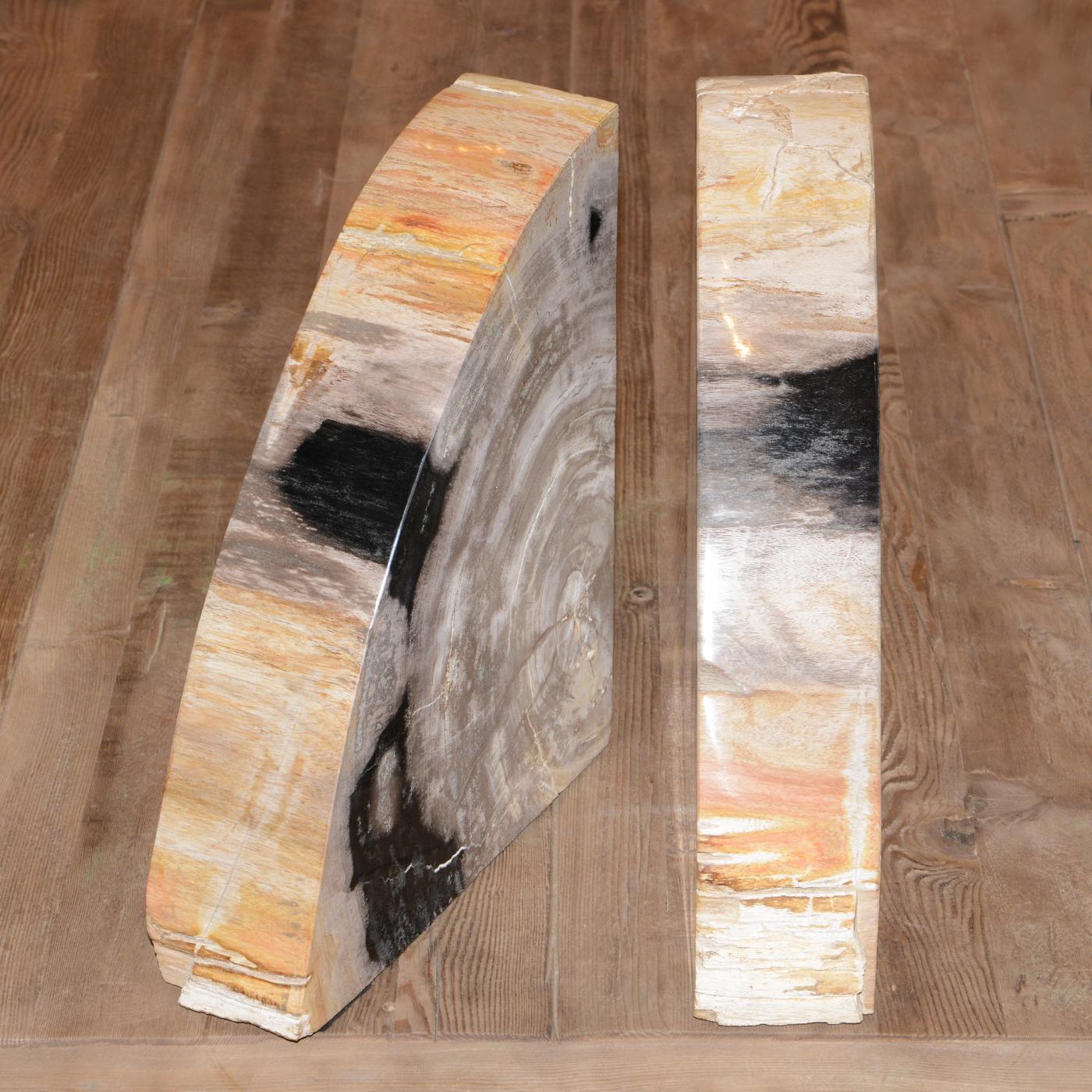 Petrified Wood Big Set of 2 Bookends For Sale 3