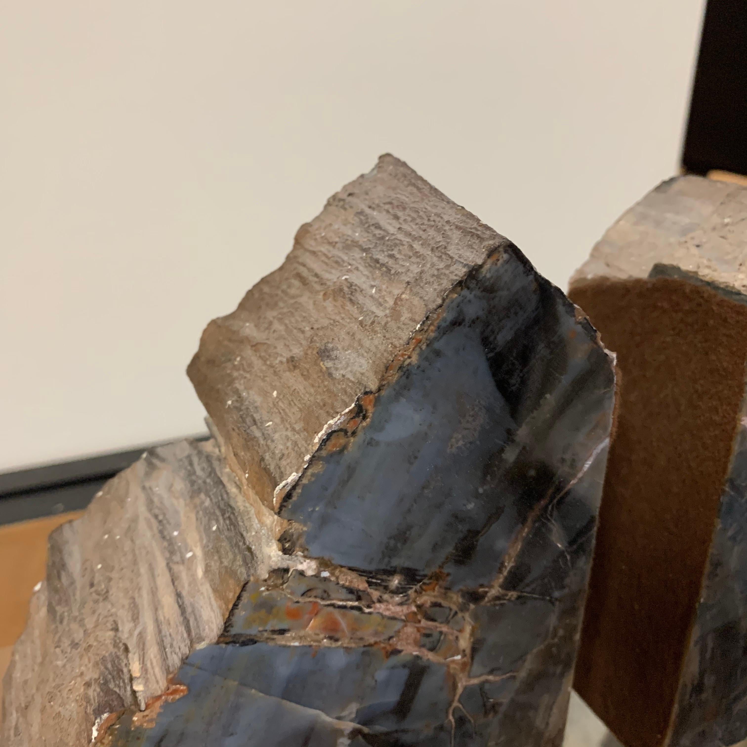 American Petrified Wood Bookends For Sale