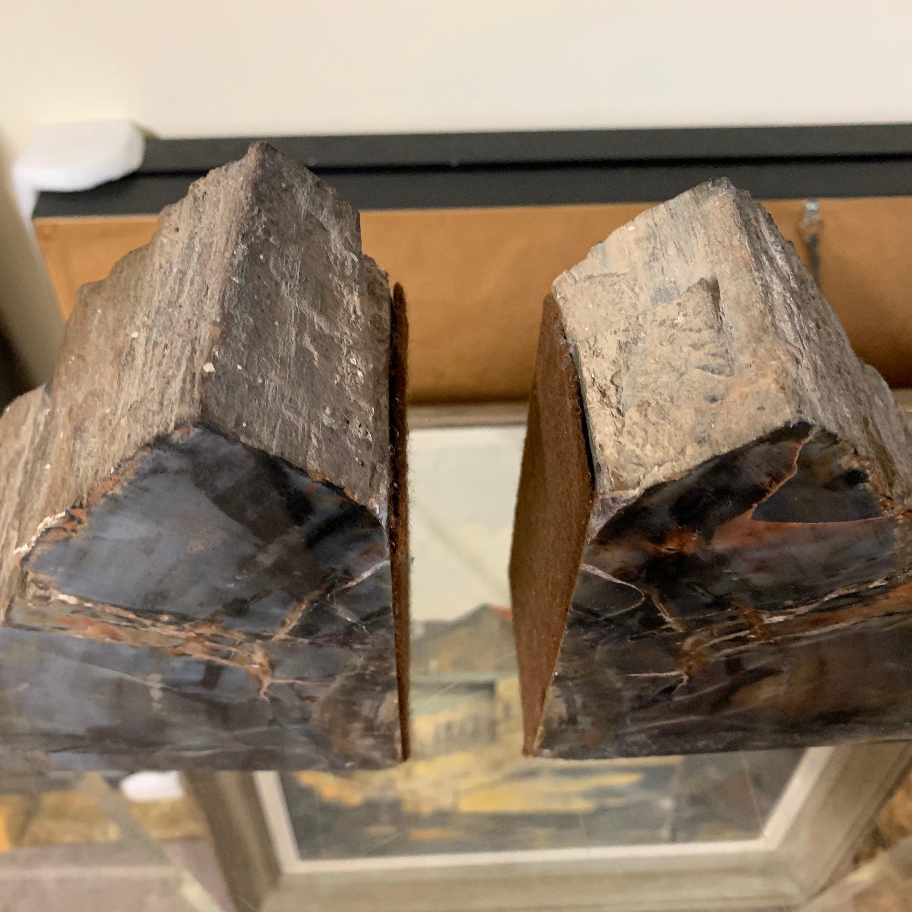 Petrified Wood Bookends For Sale 1