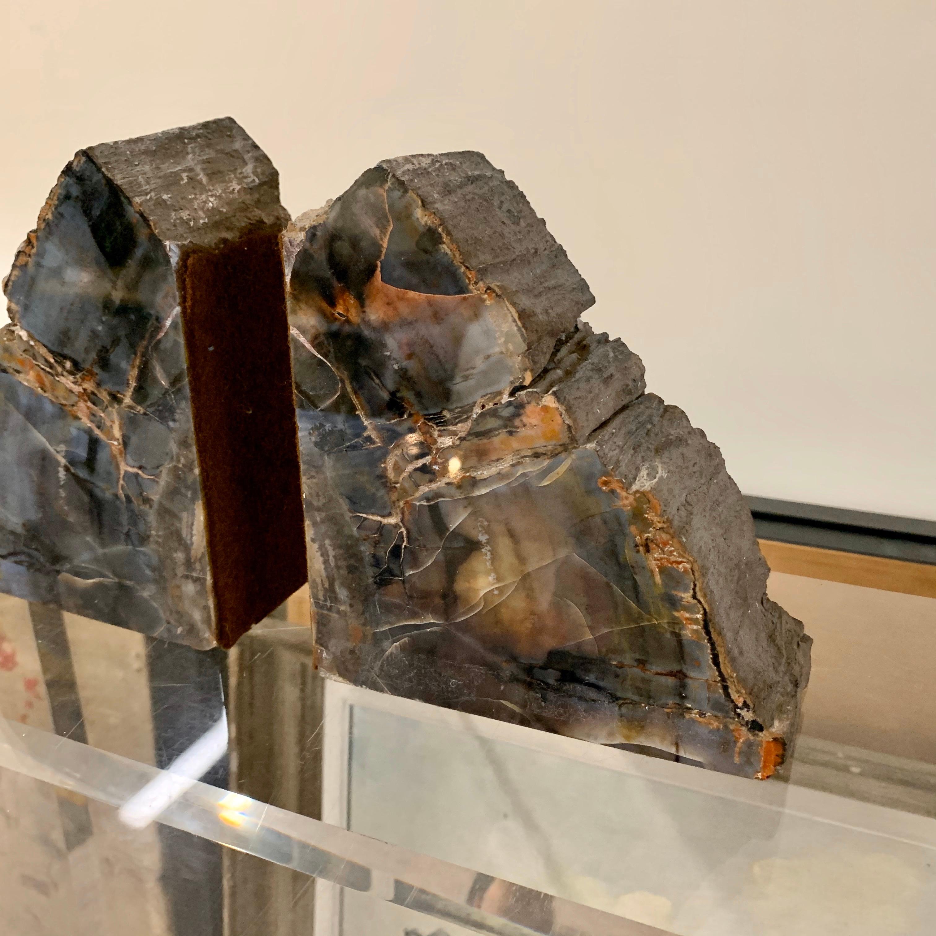 Petrified Wood Bookends For Sale 2