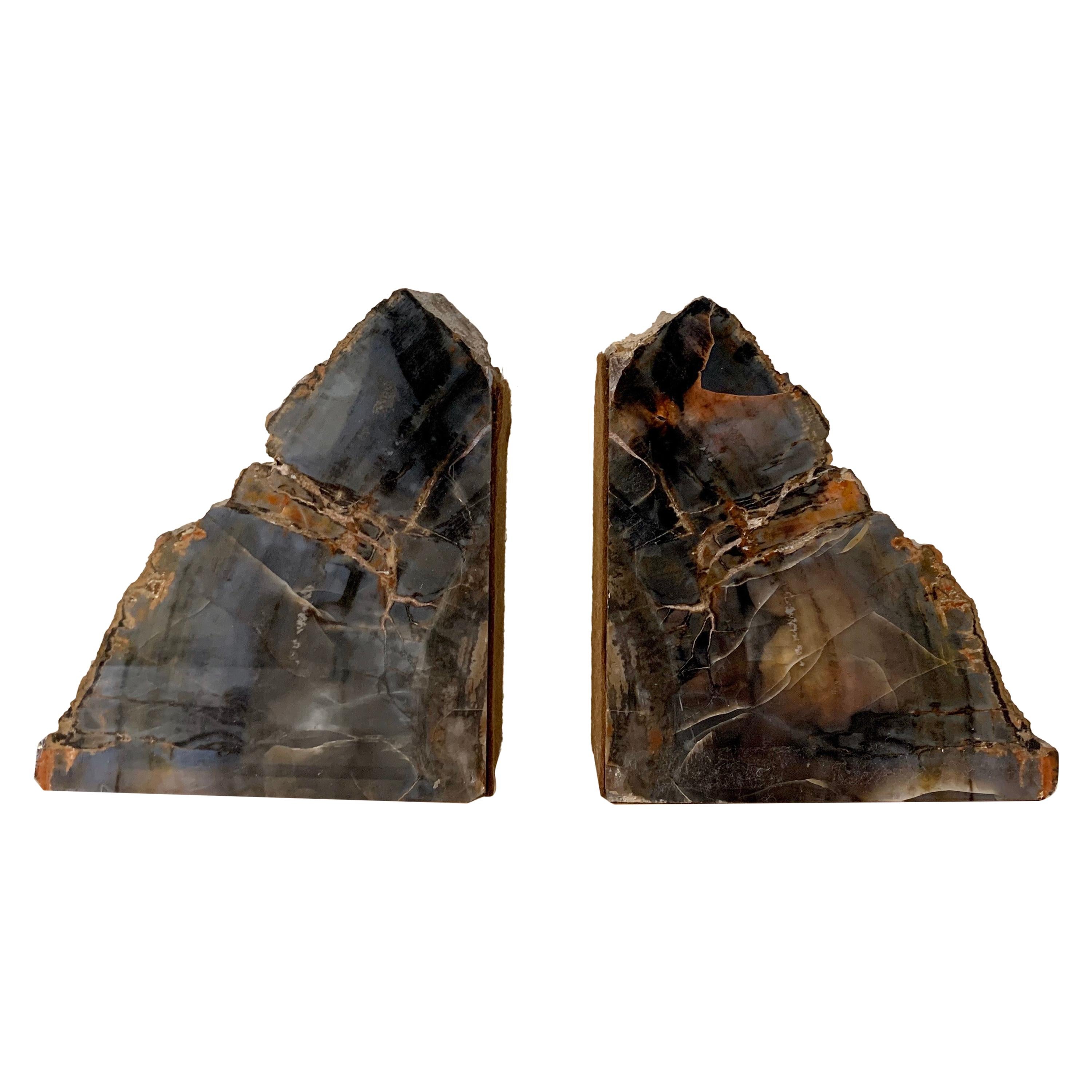 Petrified Wood Bookends For Sale