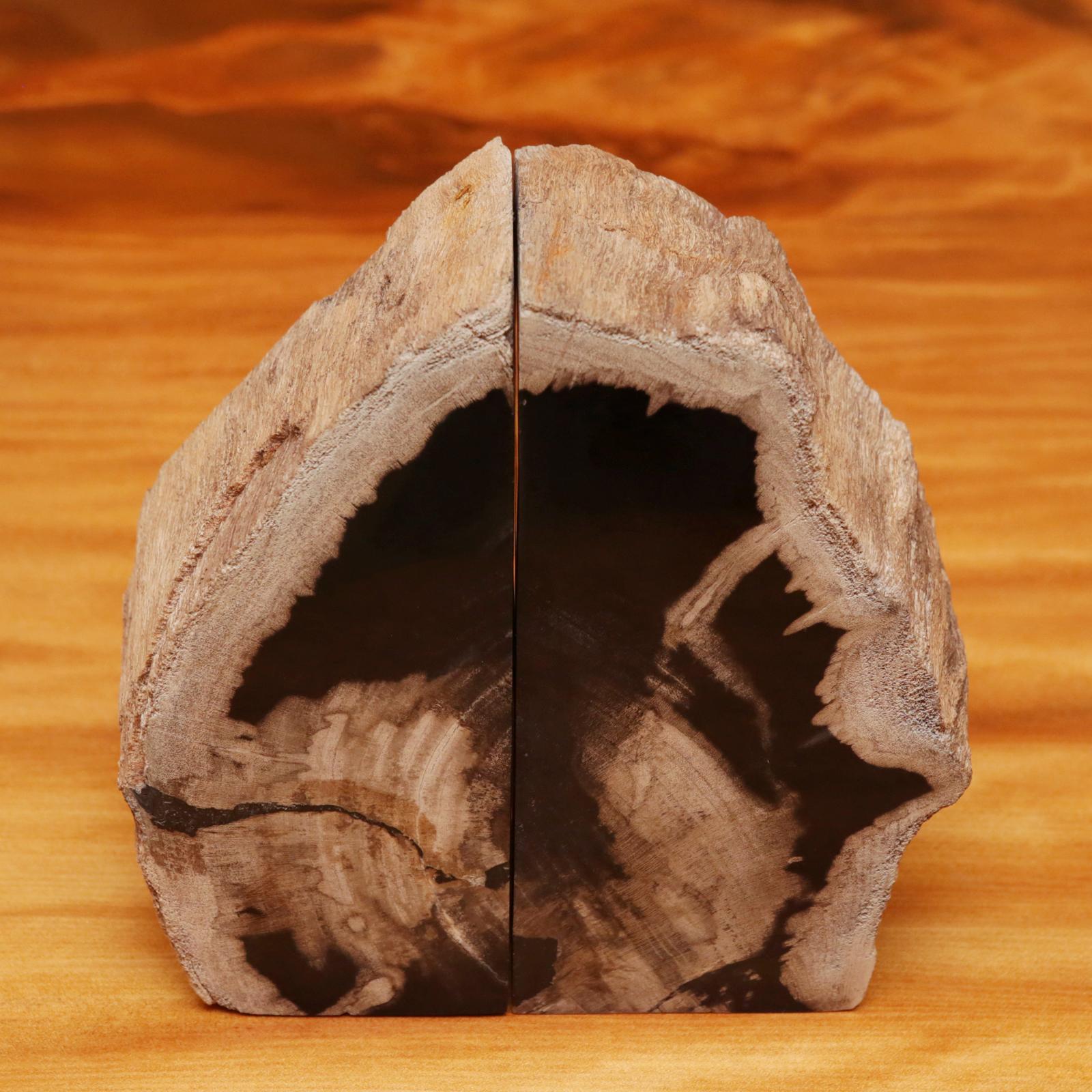 Indonesian Petrified Wood Bookends Set of 2