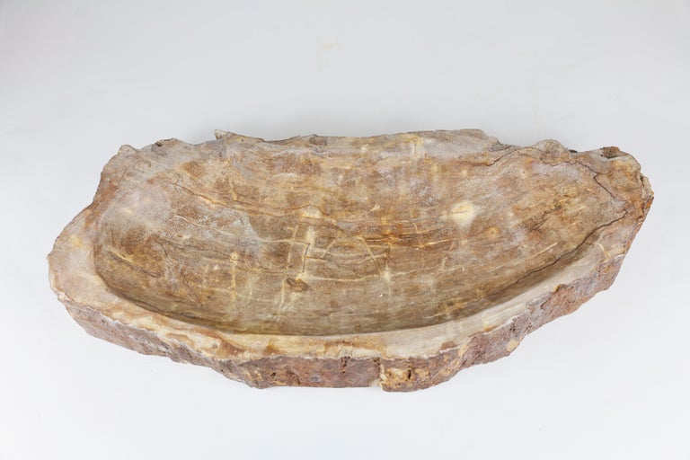 Petrified Wood Bowl 20 For Sale at 1stDibs