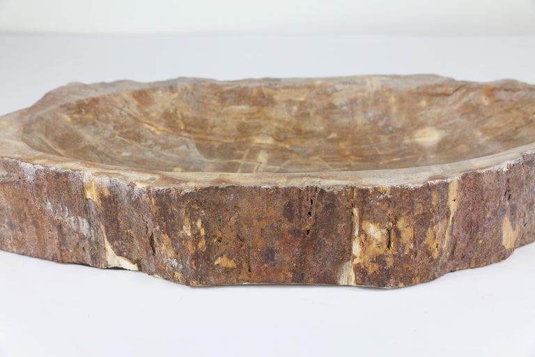 Petrified Wood Bowl 20 For Sale at 1stDibs