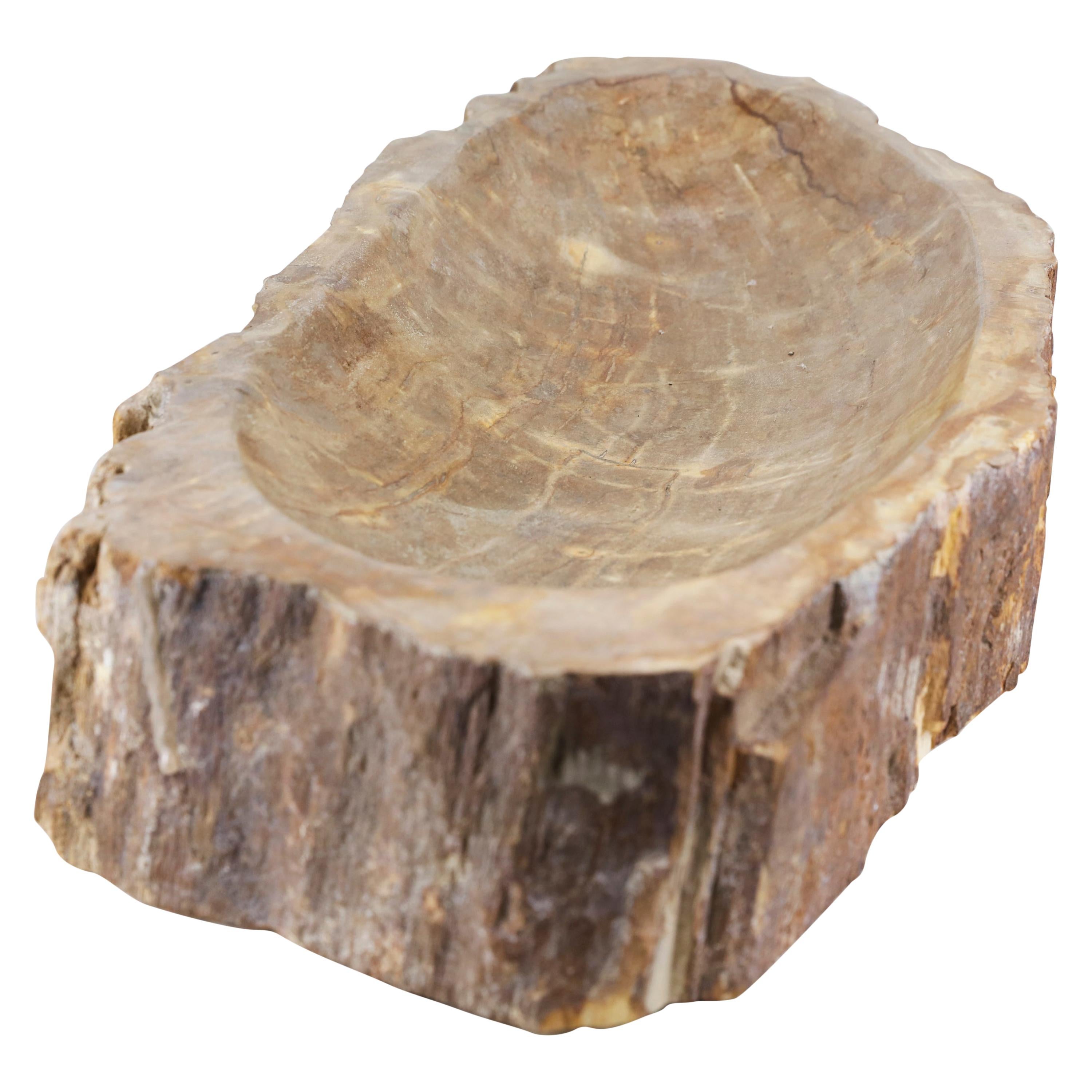 Petrified Wood Bowl 20 For Sale at 1stDibs