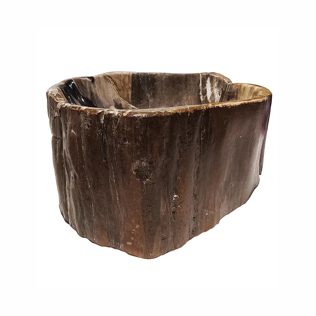 Hand-Carved Petrified Wood Bowl