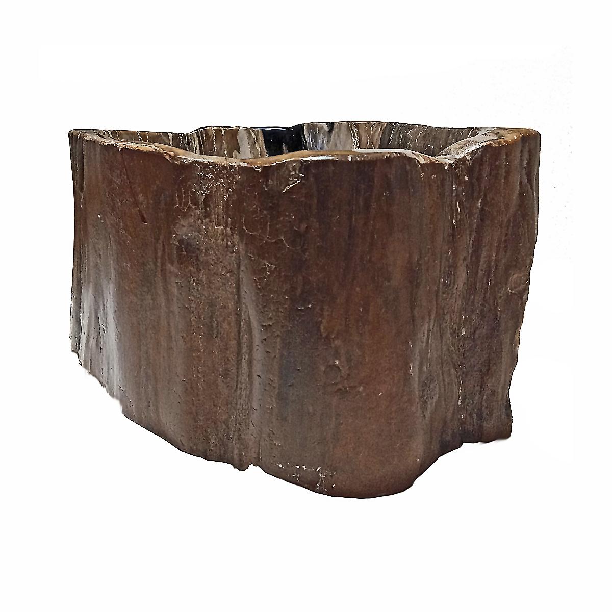 Petrified Wood Bowl In Good Condition In New York, NY