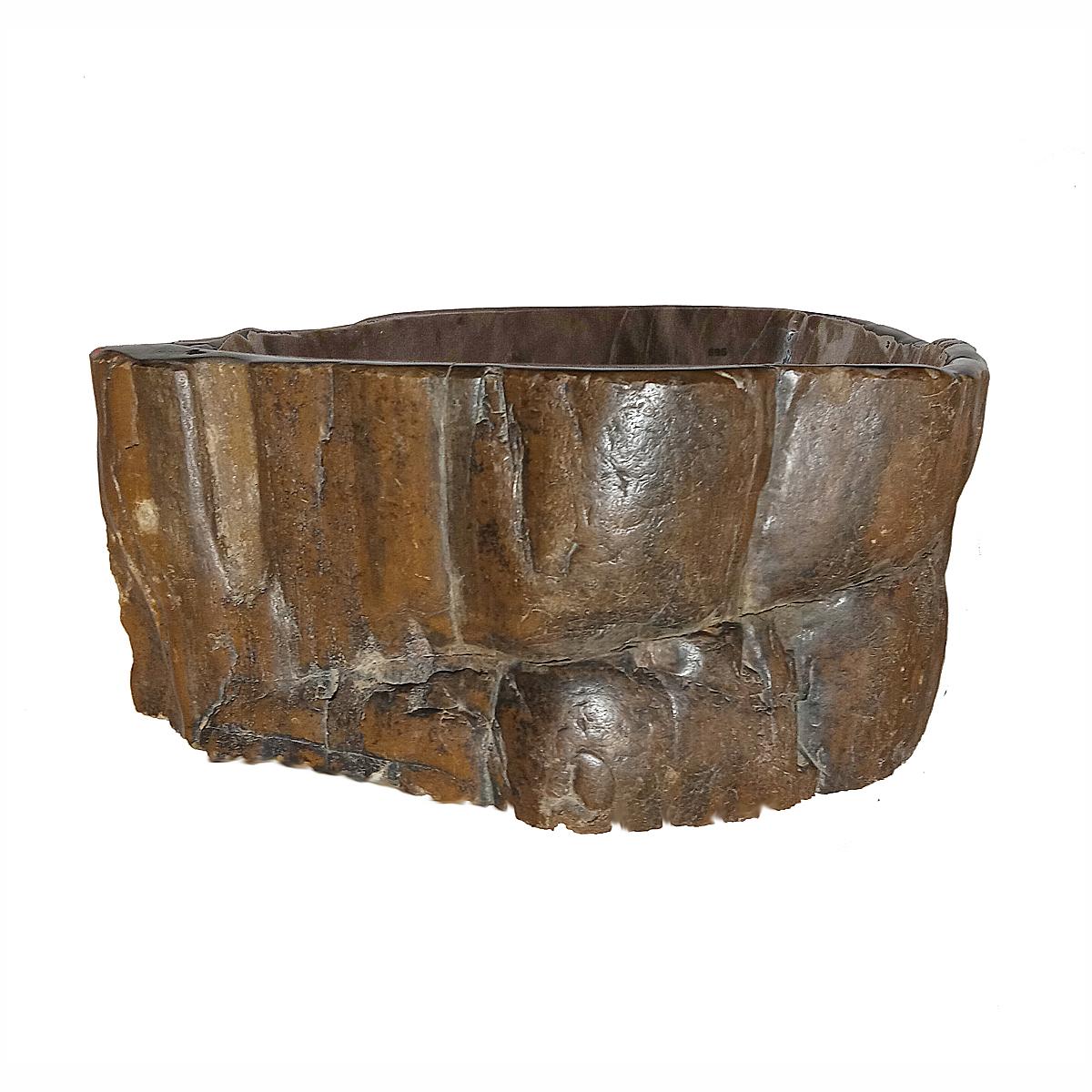 Petrified Wood Bowl 1
