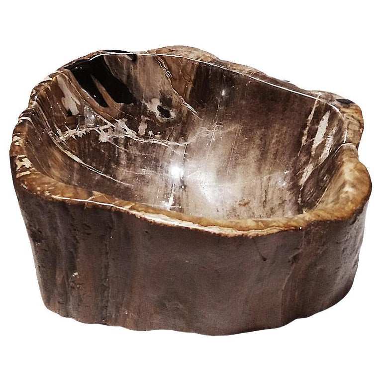 Petrified Wood Bowl For Sale at 1stDibs