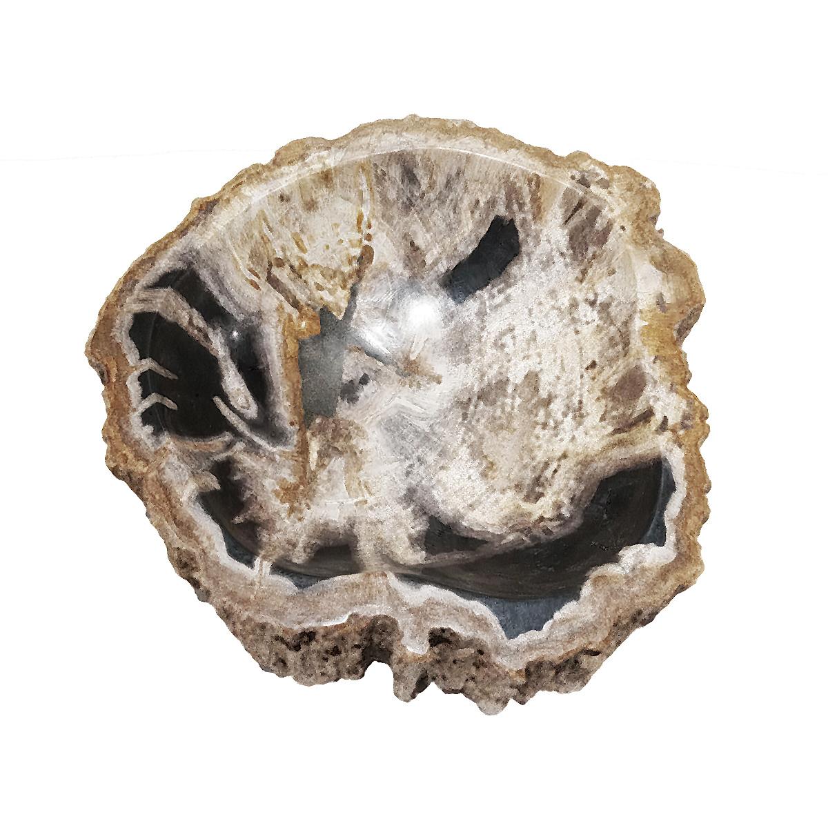 Organic Modern Petrified Wood Bowl from Indonesia For Sale