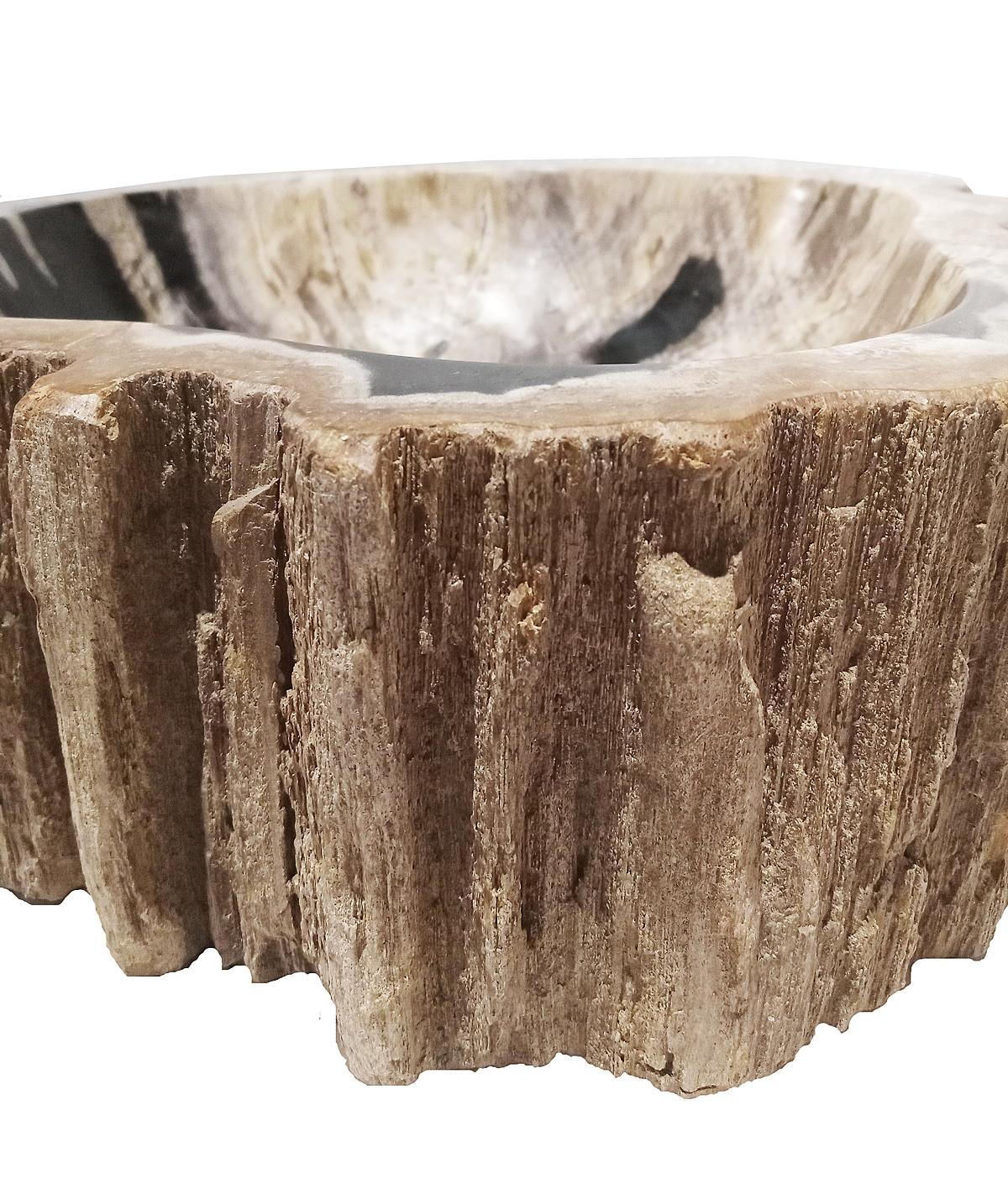 Indonesian Petrified Wood Bowl from Indonesia For Sale