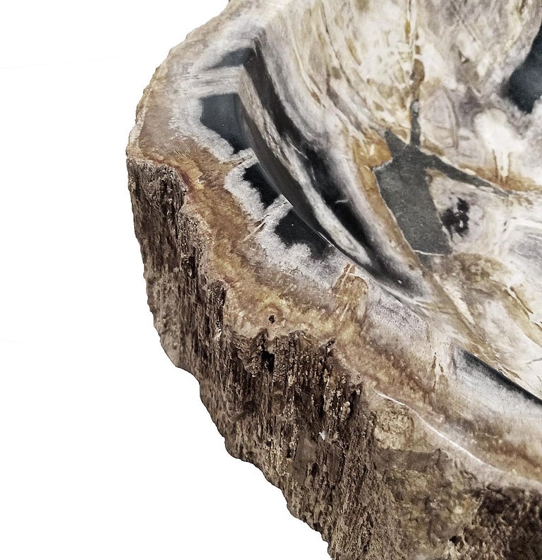 Petrified Wood Bowl from Indonesia For Sale at 1stDibs
