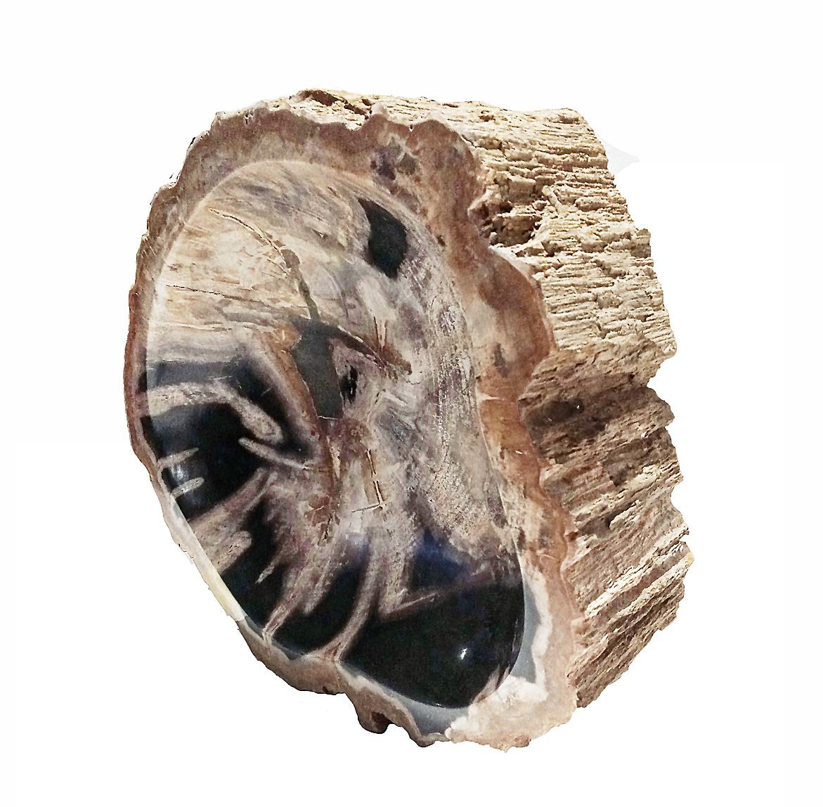 Petrified Wood Bowl from Indonesia In Excellent Condition For Sale In New York, NY