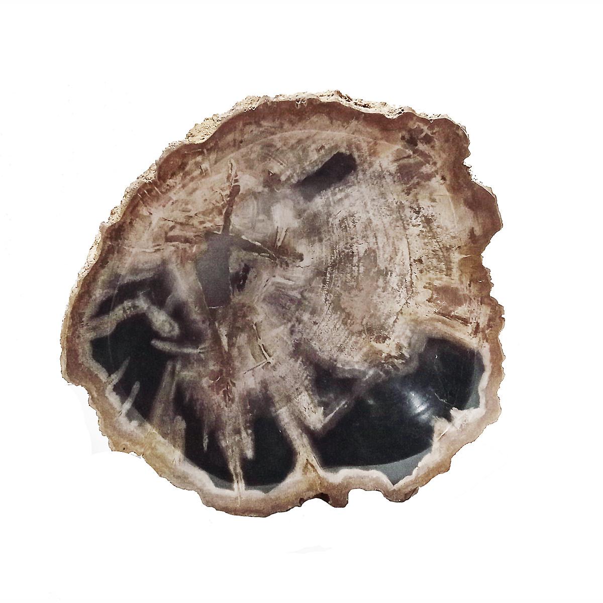 Contemporary Petrified Wood Bowl from Indonesia For Sale