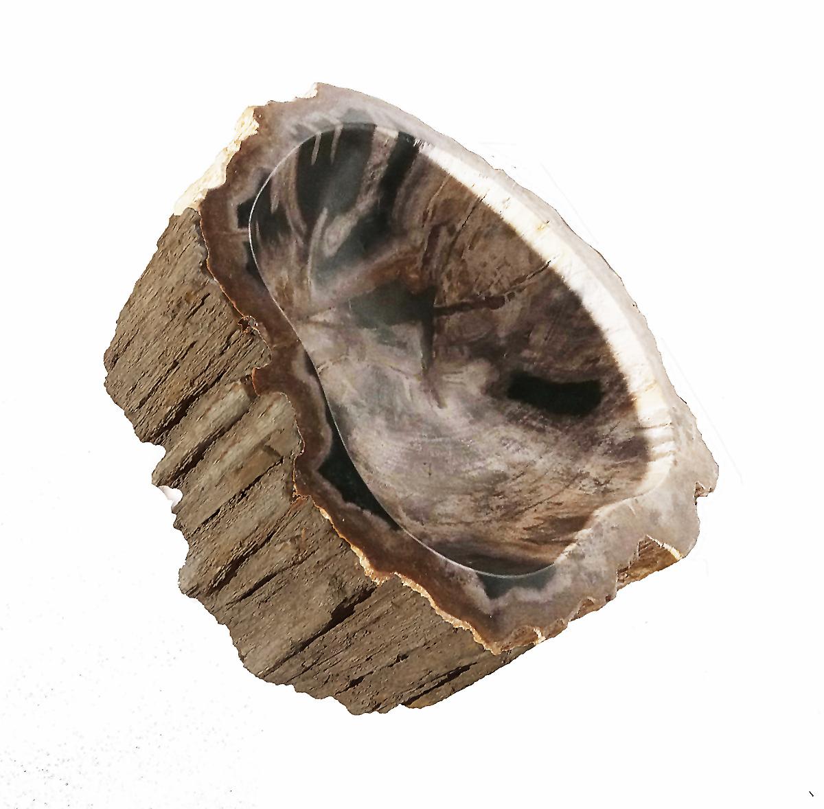 Petrified Wood Bowl from Indonesia For Sale 1