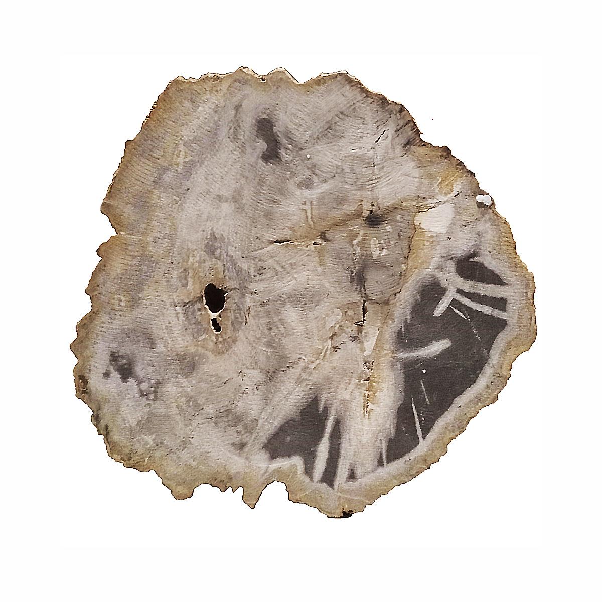 Petrified Wood Bowl from Indonesia For Sale 2