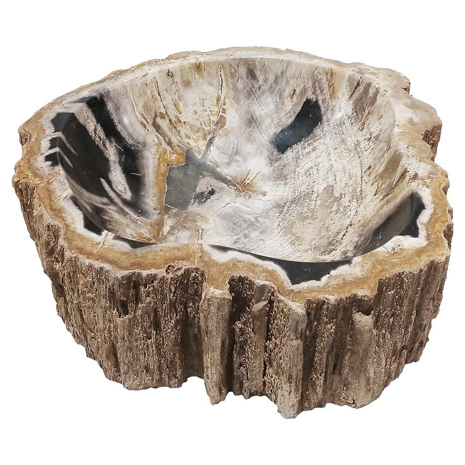 Schale aus versteinertem Holz aus Indonesien im Angebot