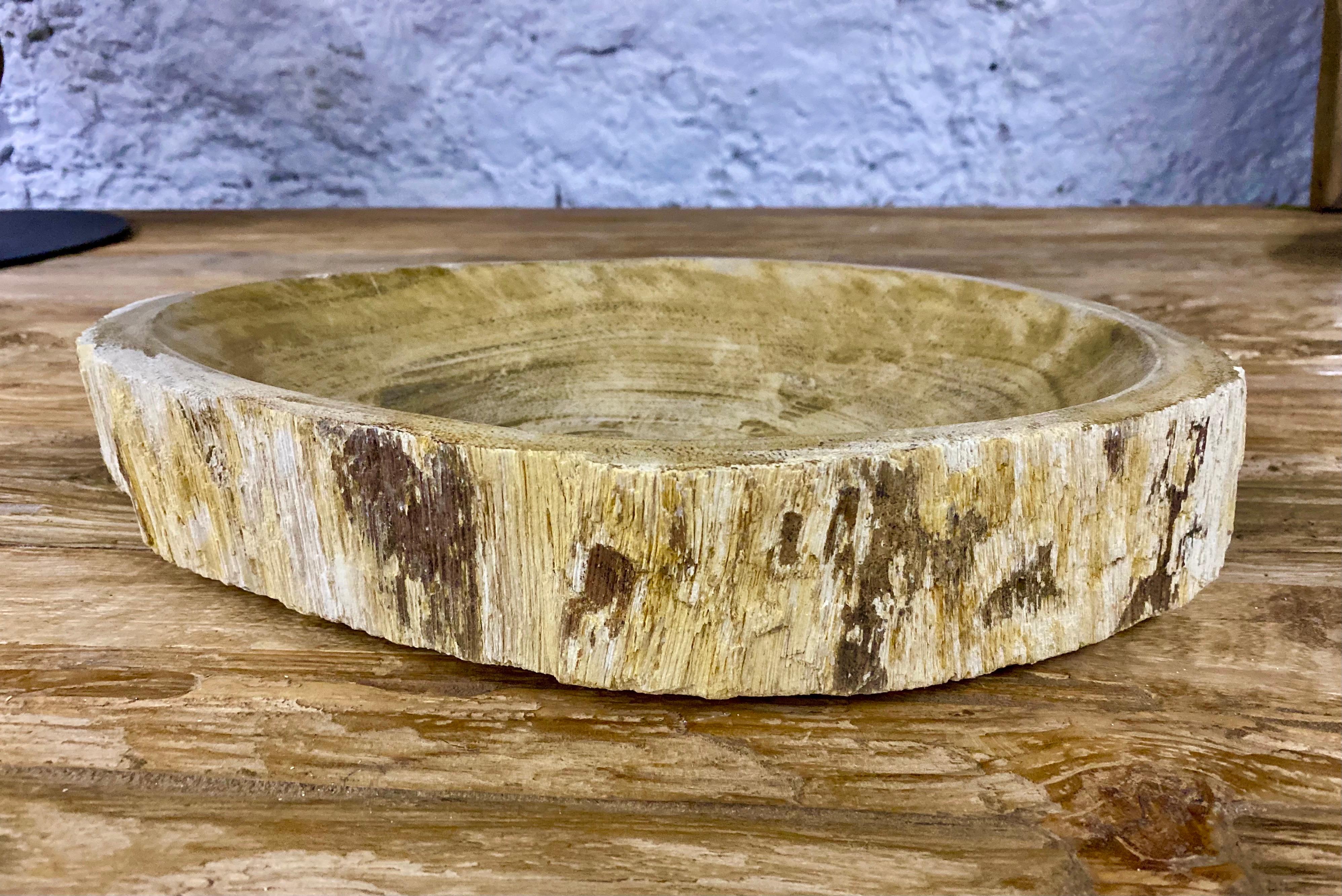 Organic Modern Petrified Wood Bowl in Beige/ Brown/ Grey Tones, Top Quality
