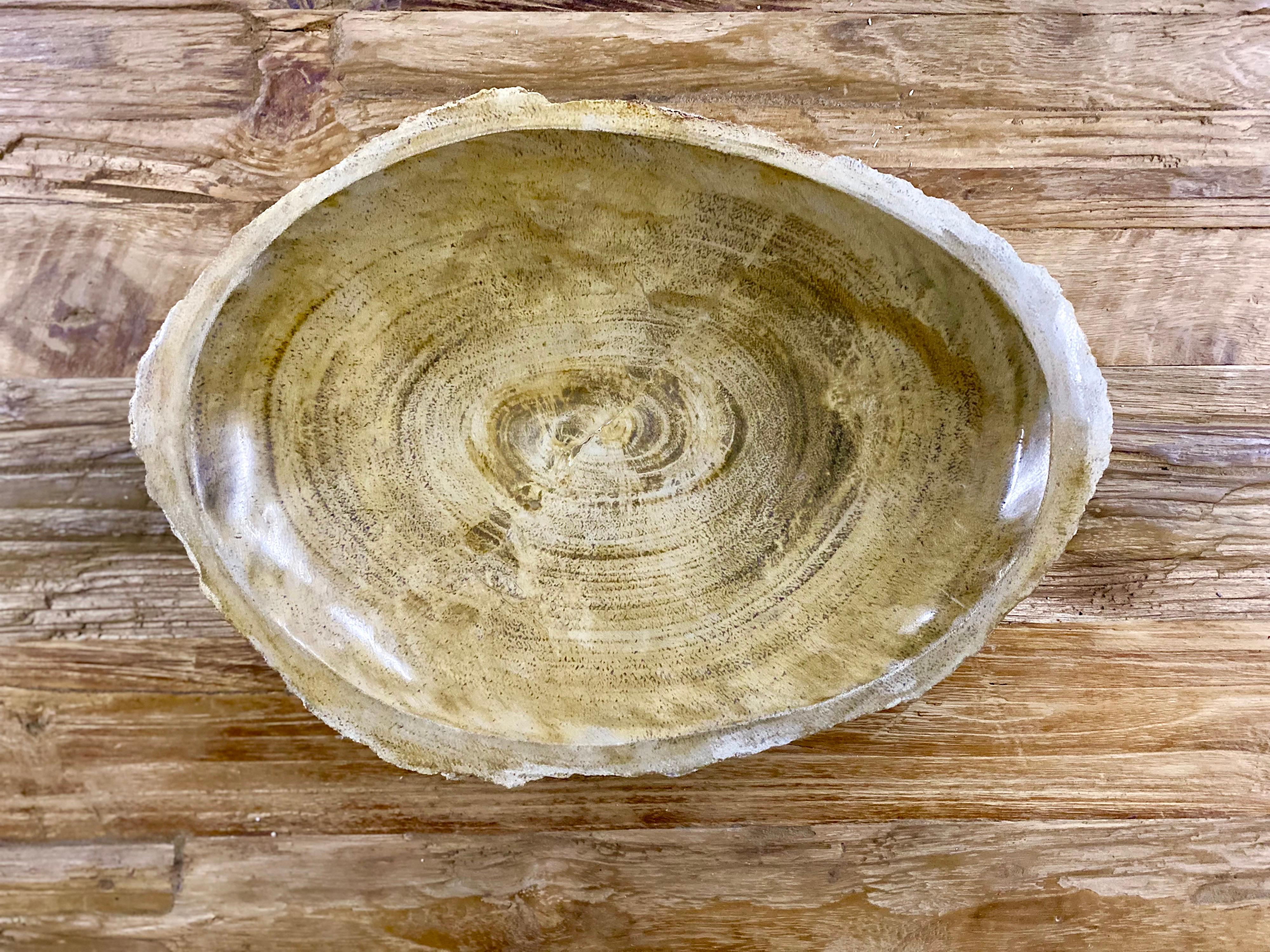Polished Petrified Wood Bowl in Beige/ Brown/ Grey Tones, Top Quality