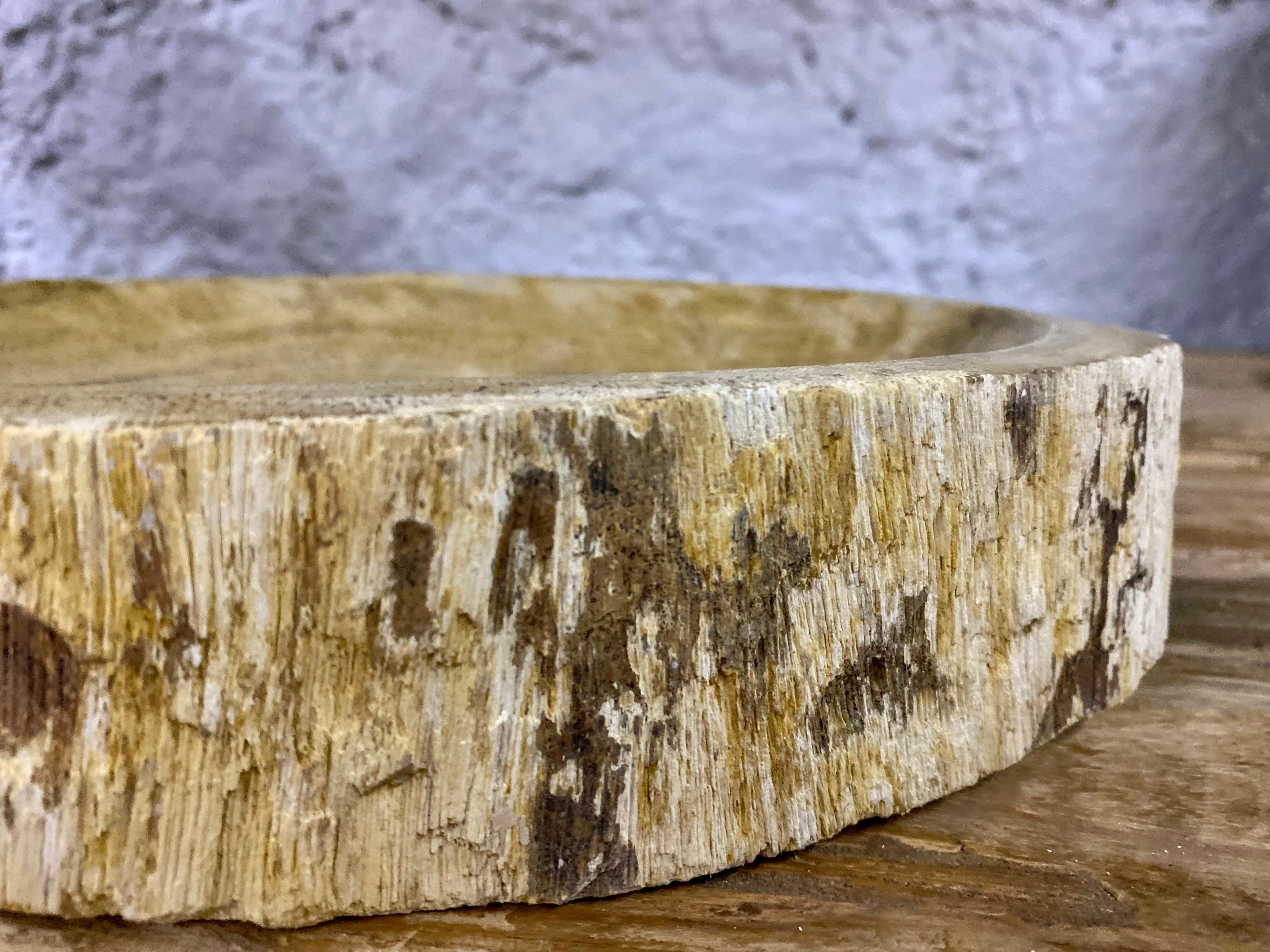Petrified Wood Bowl in Beige/ Brown/ Grey Tones, Top Quality In New Condition In Lichtenberg, AT