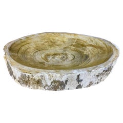 Petrified Wood Bowl in Beige/ Brown/ Grey Tones, Top Quality