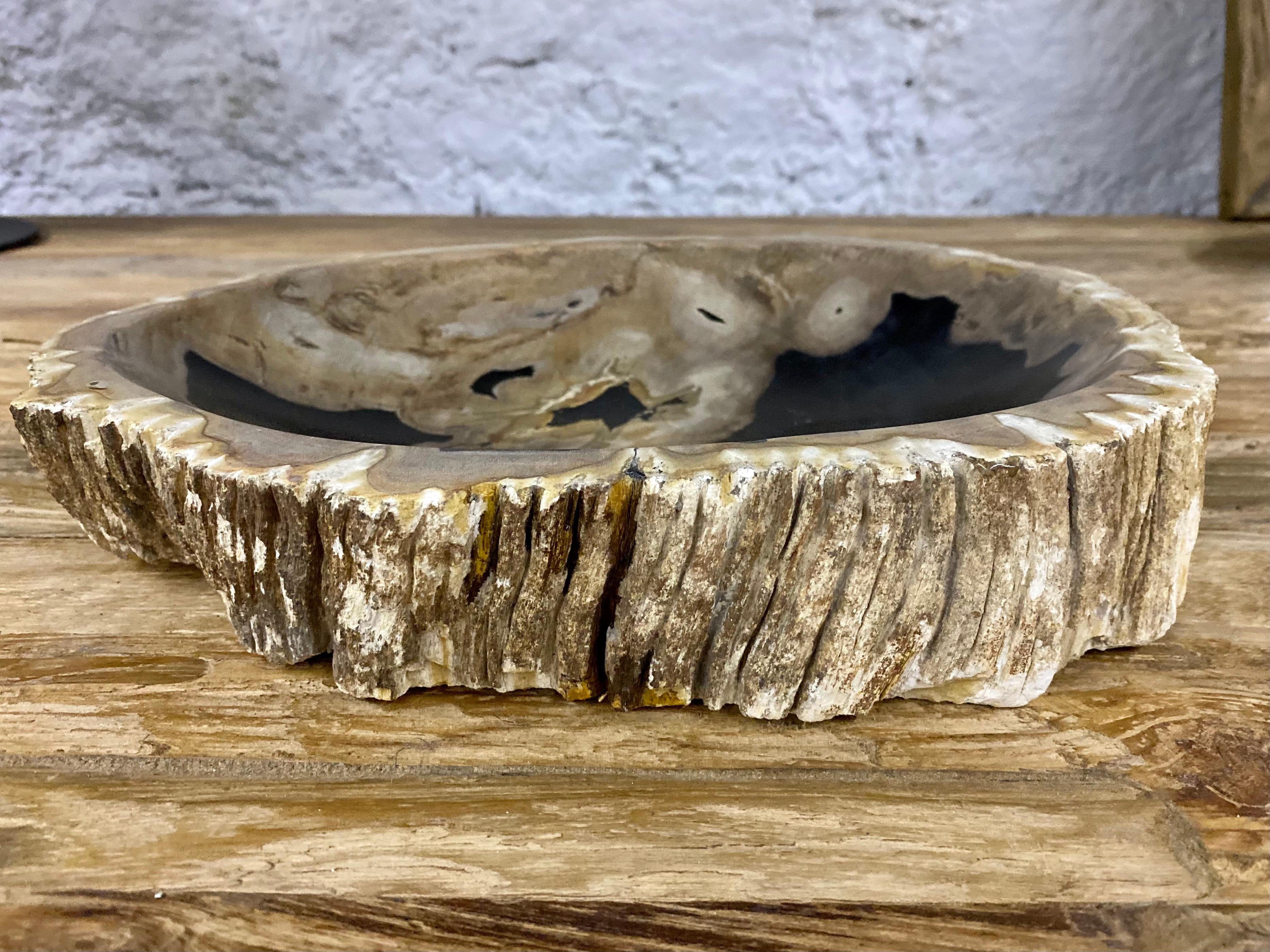 Decorative petrified wood bowl of highest quality. The natural coloration in beige, grey and black tones confers this beautiful bowl a special appearance. Elaborately worked out of petrified wood this one of a kind item impresses with an almost