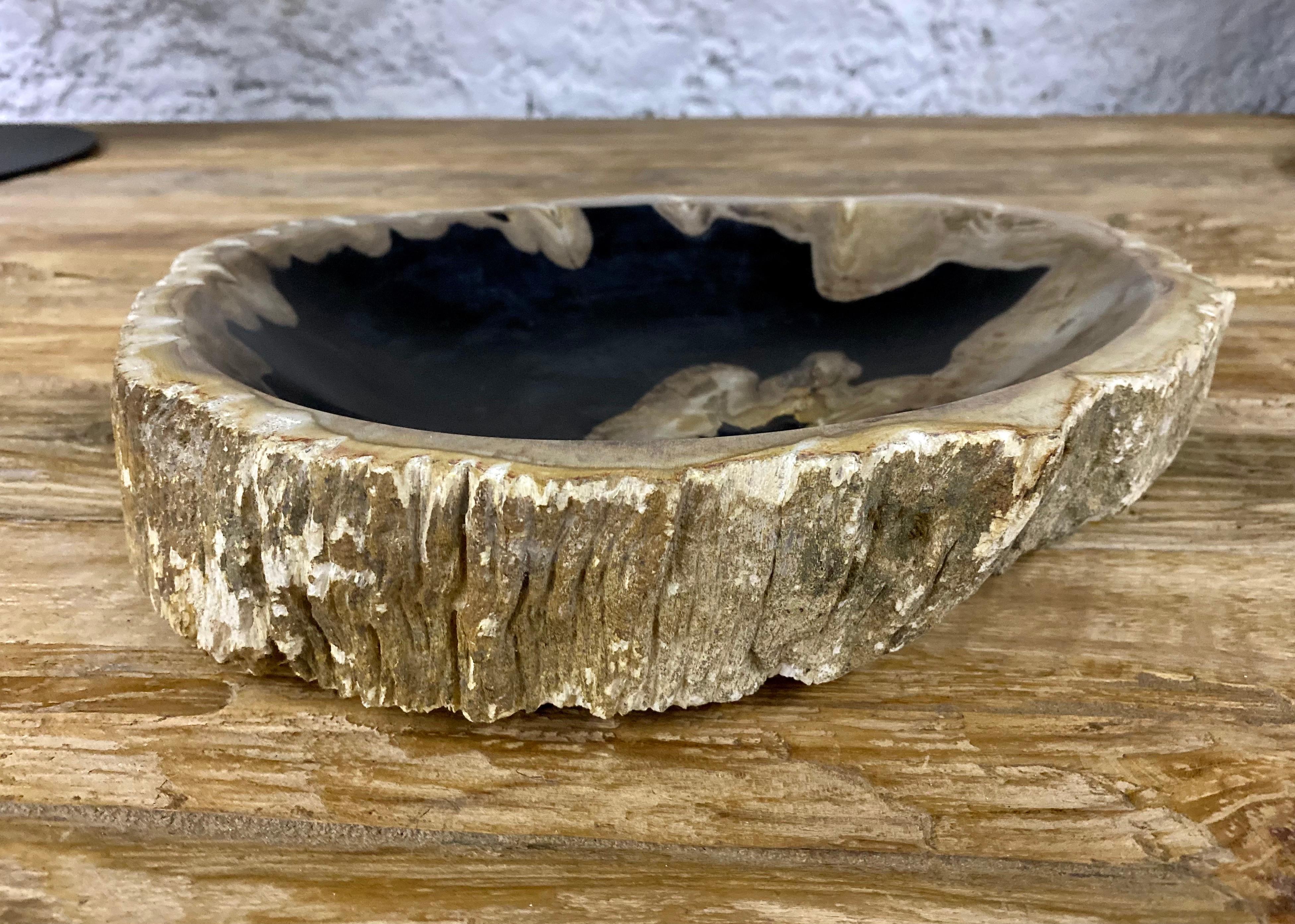 Indonesian Petrified Wood Bowl in Beige/ Grey/ Black Tones - Top Quality