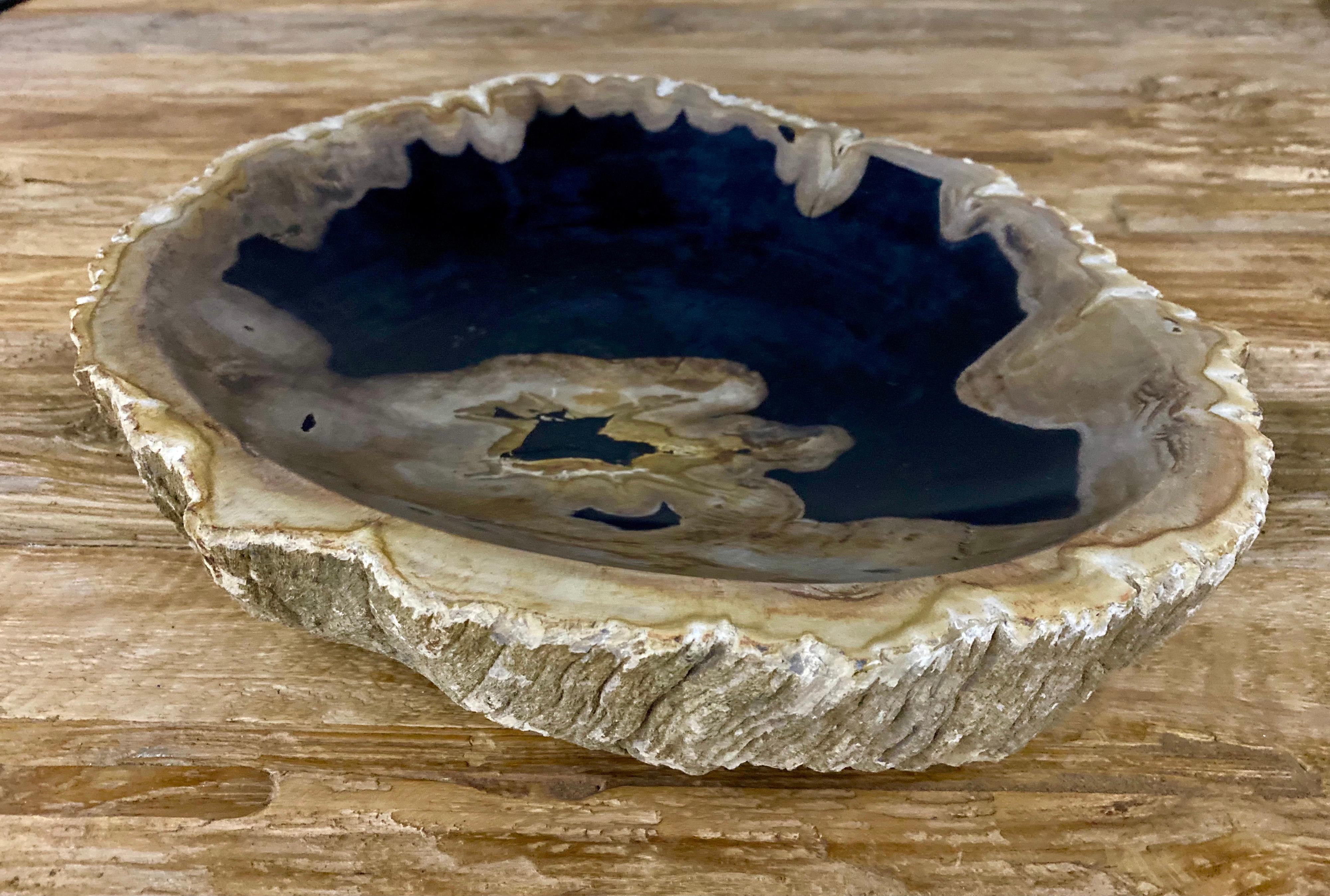 Polished Petrified Wood Bowl in Beige/ Grey/ Black Tones - Top Quality