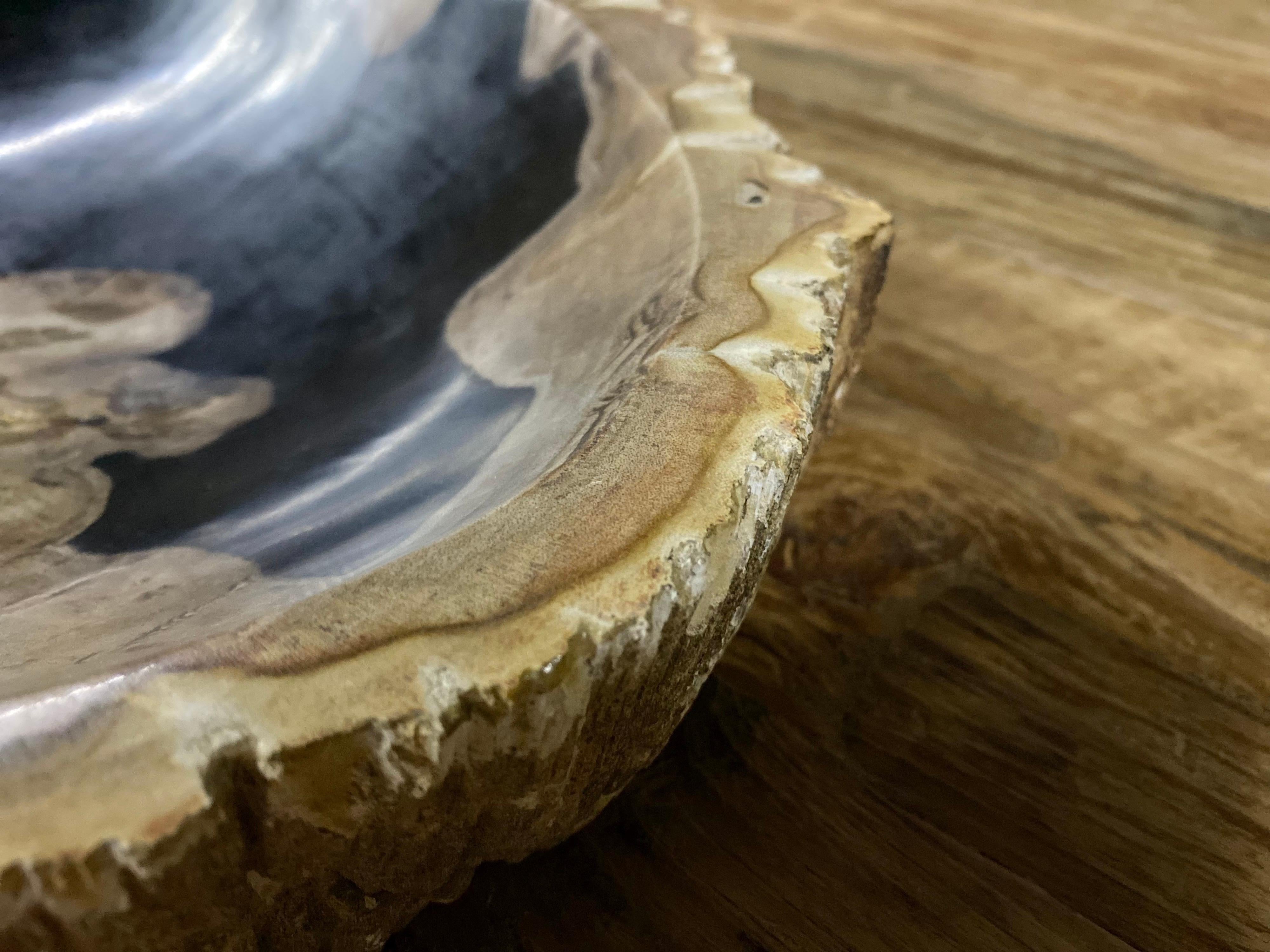 Petrified Wood Bowl in Beige/ Grey/ Black Tones - Top Quality 1