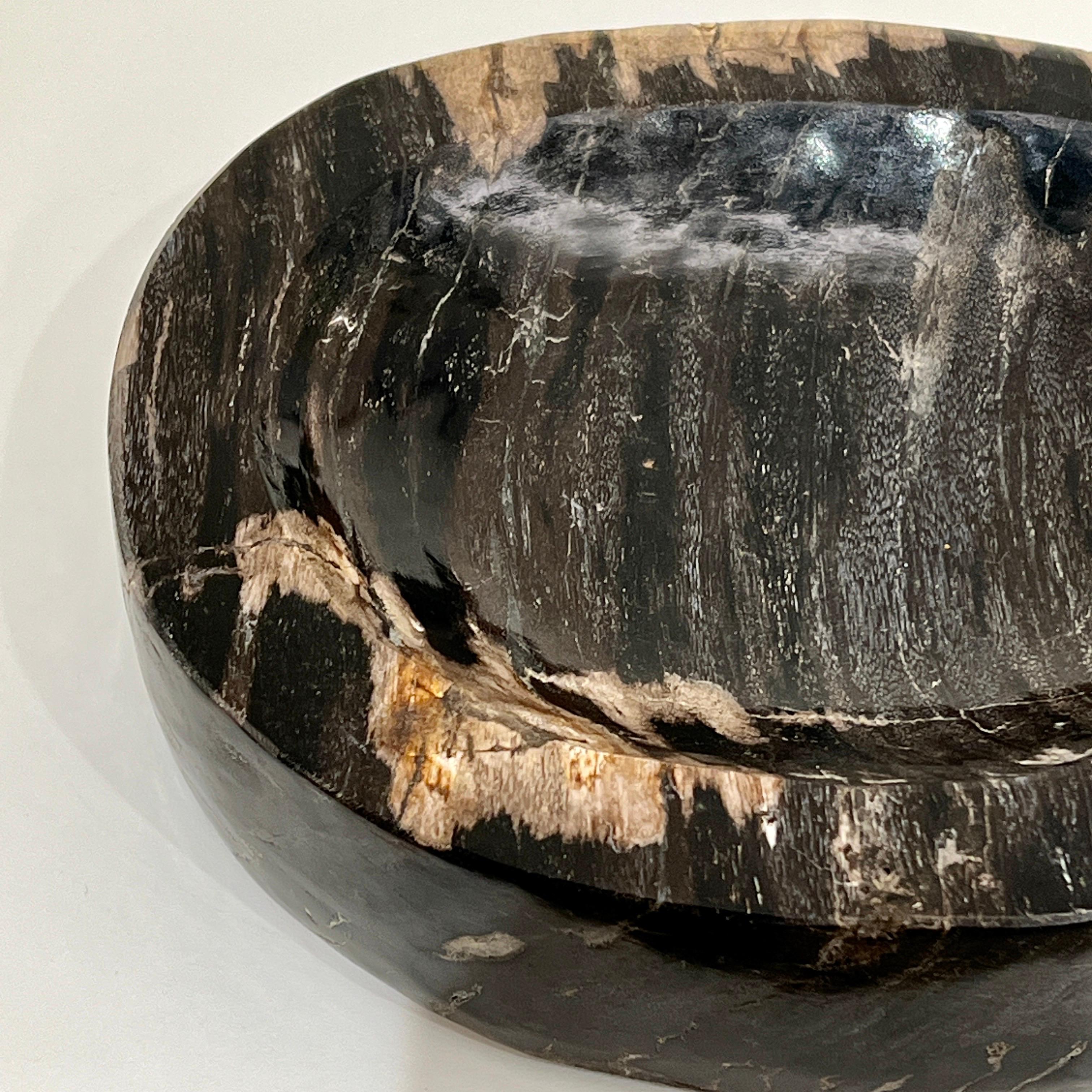 Petrified Wood Bowl in Black and Beige from Indonesia In Good Condition For Sale In Fort Lauderdale, FL
