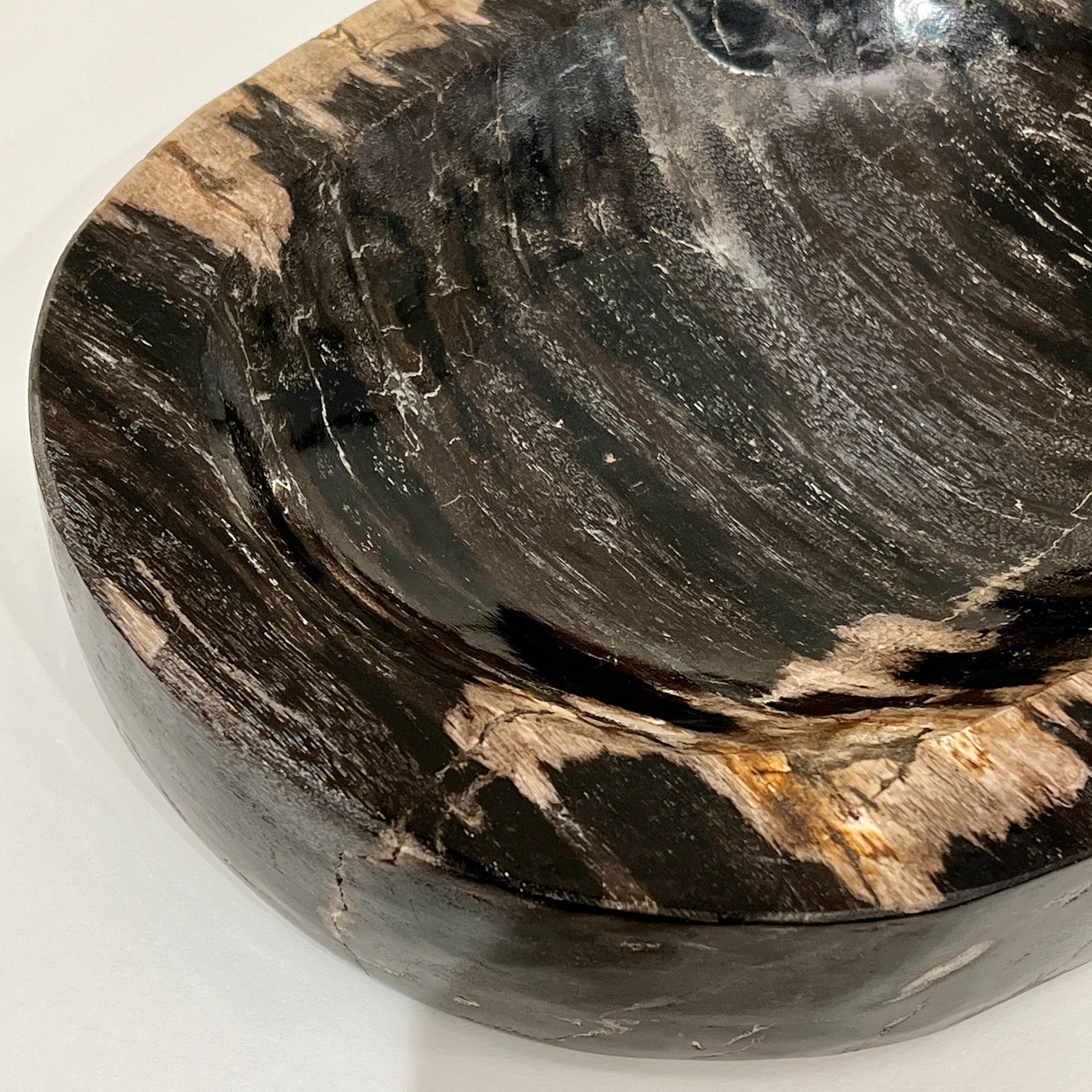 Petrified Wood Bowl in Black and Beige from Indonesia For Sale 1