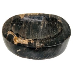 Petrified Wood Bowl in Black and Beige from Indonesia