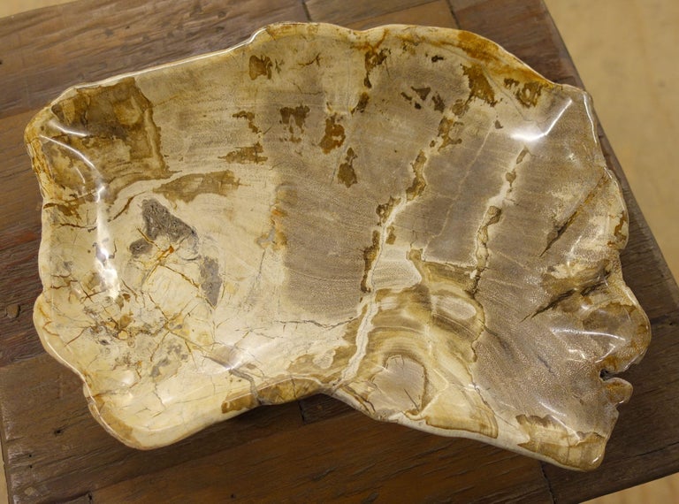 Petrified Wood Bowl, Indonesia, Contemporary at 1stDibs