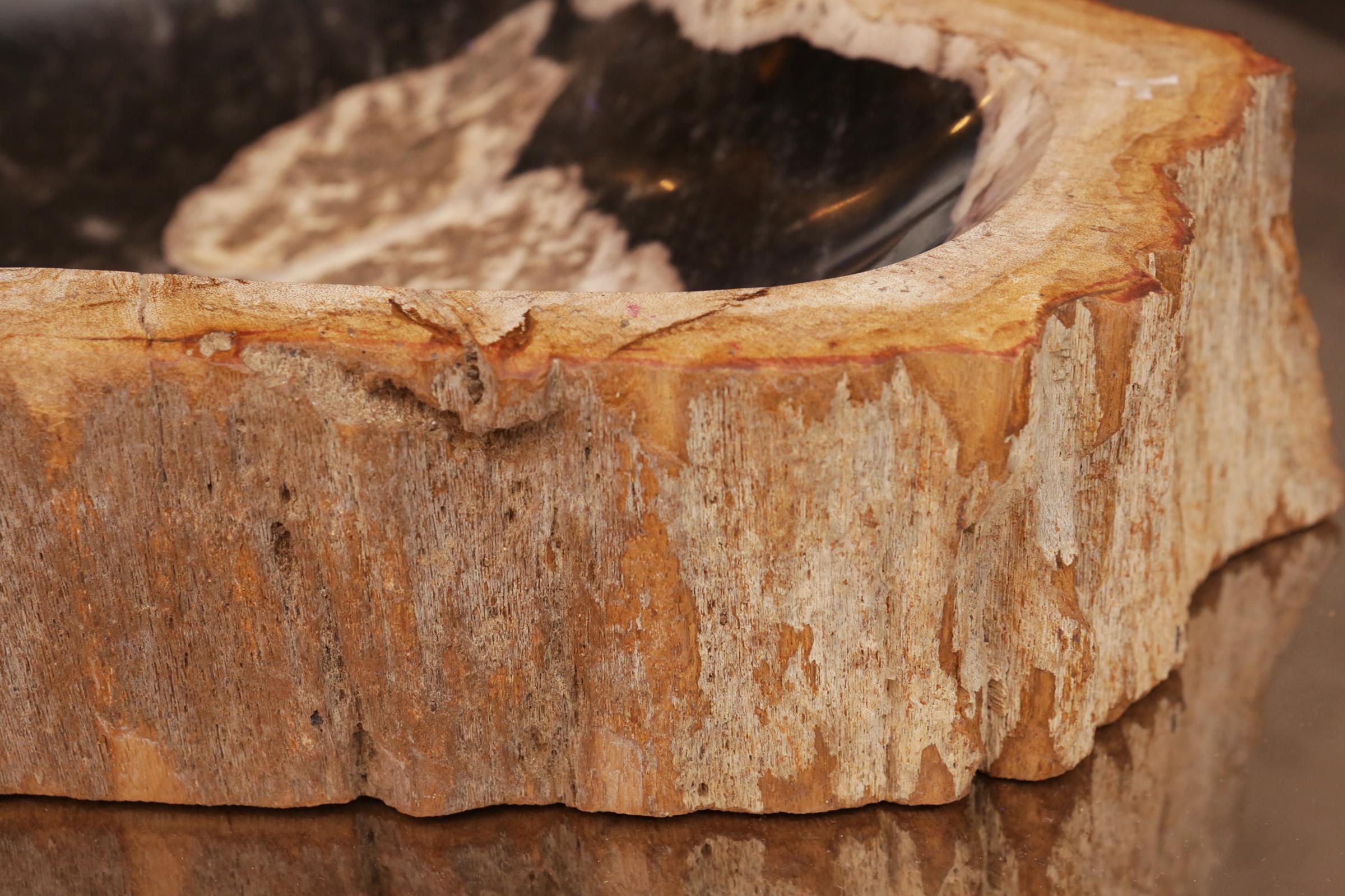 Petrified Wood C Ashtray 4