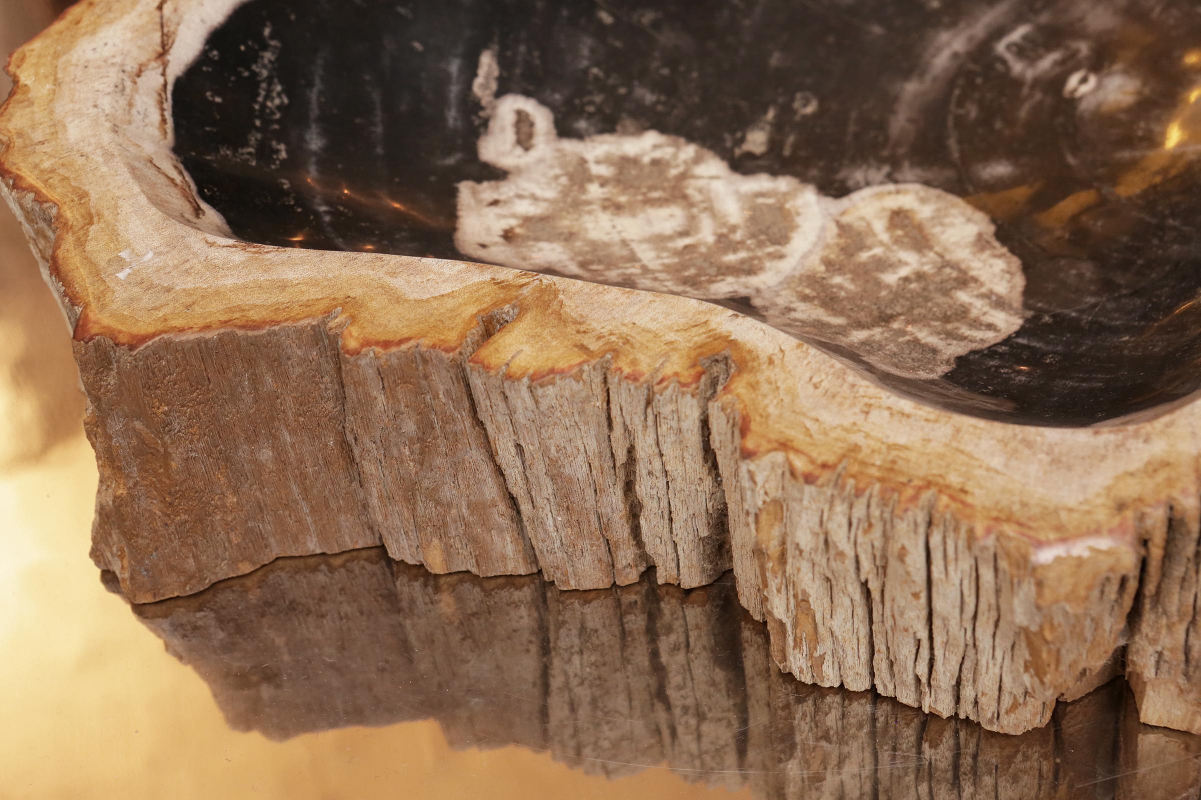 Petrified Wood C Ashtray 5