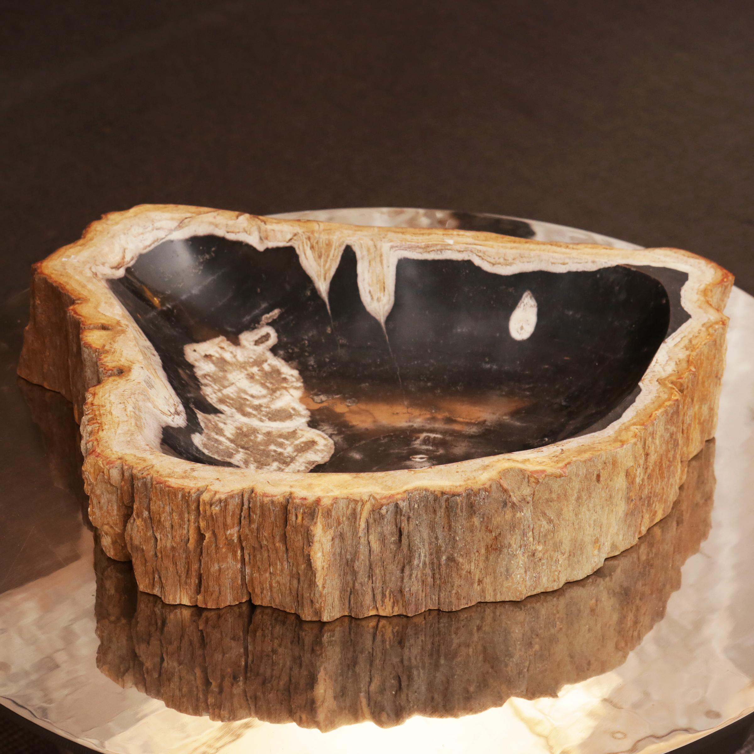Ashtray petrified wood C
in solid petrified wood.
net weight: 10 kg.