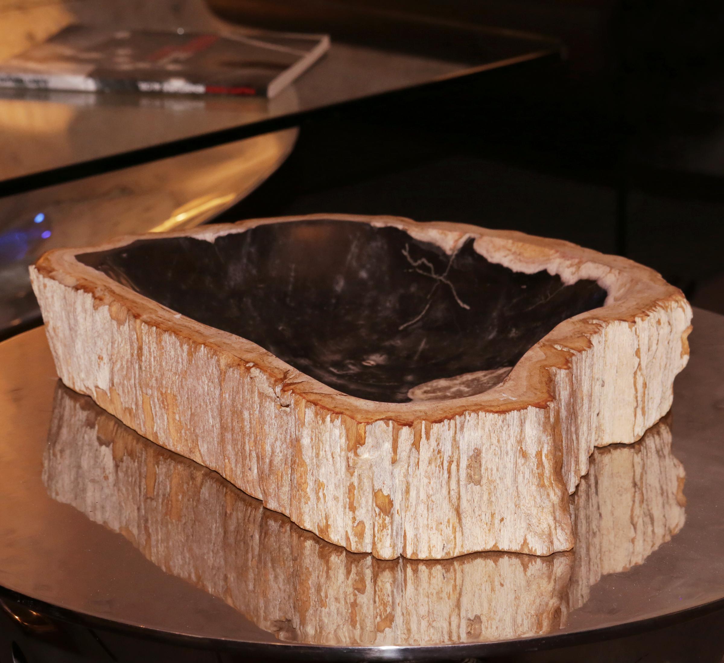 petrified wood ashtray