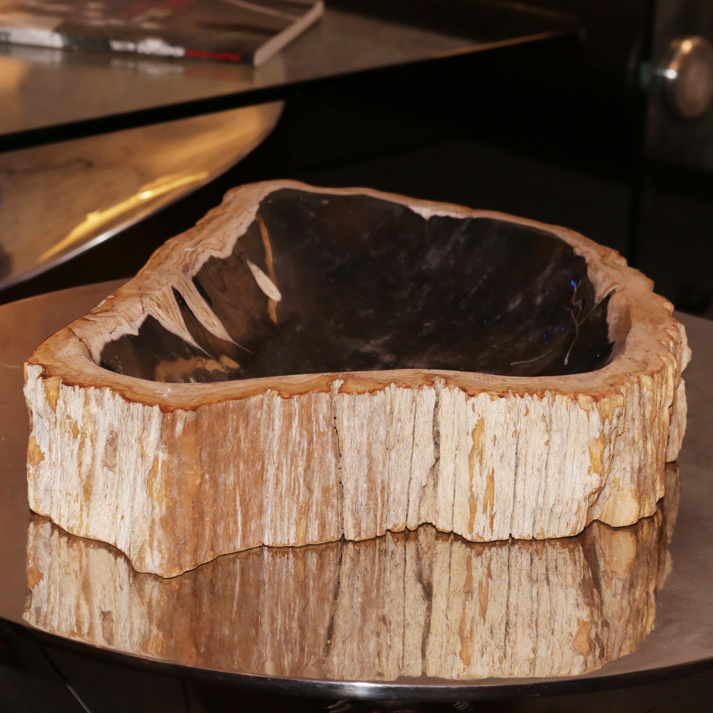 Indonesian Petrified Wood C Ashtray