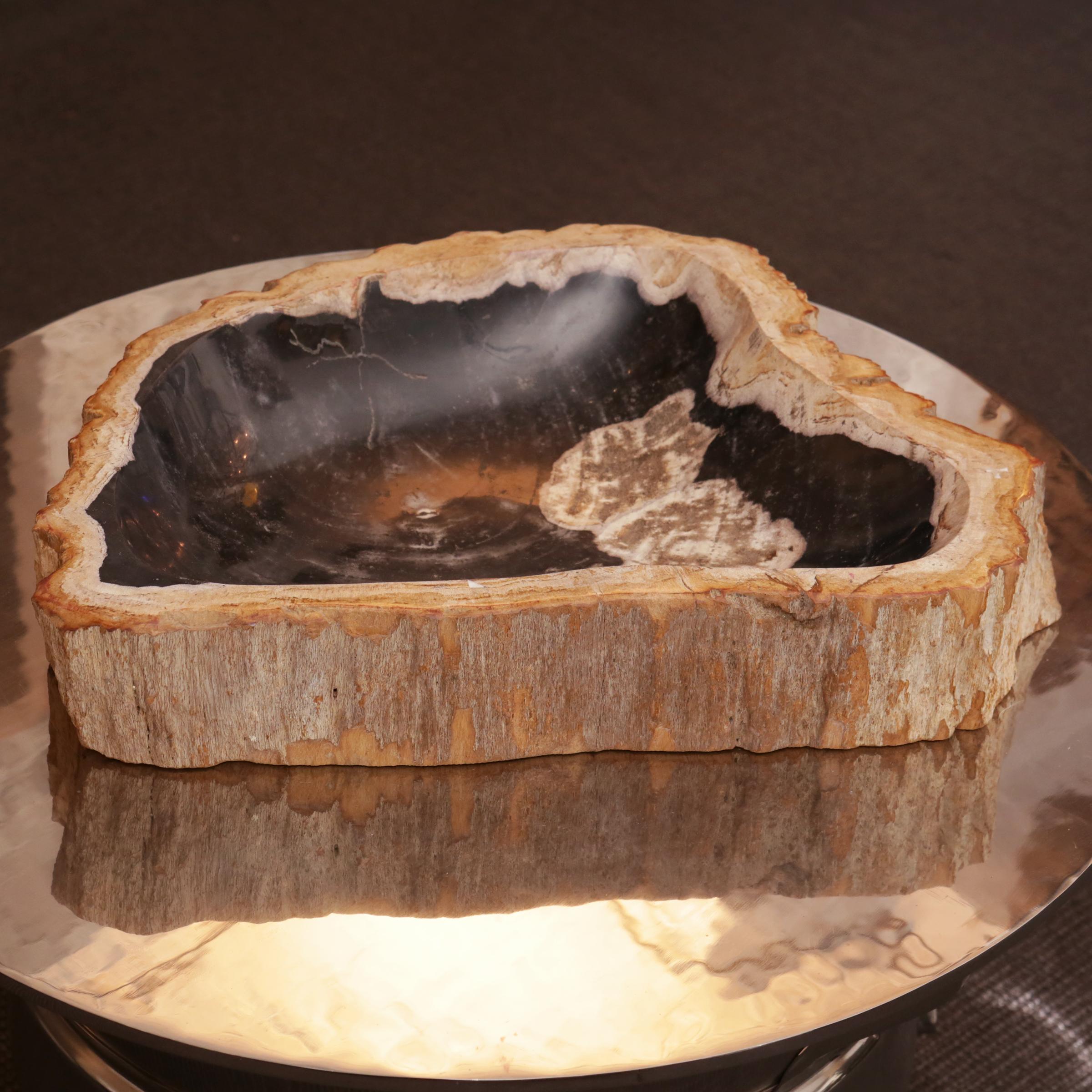 Hand-Crafted Petrified Wood C Ashtray
