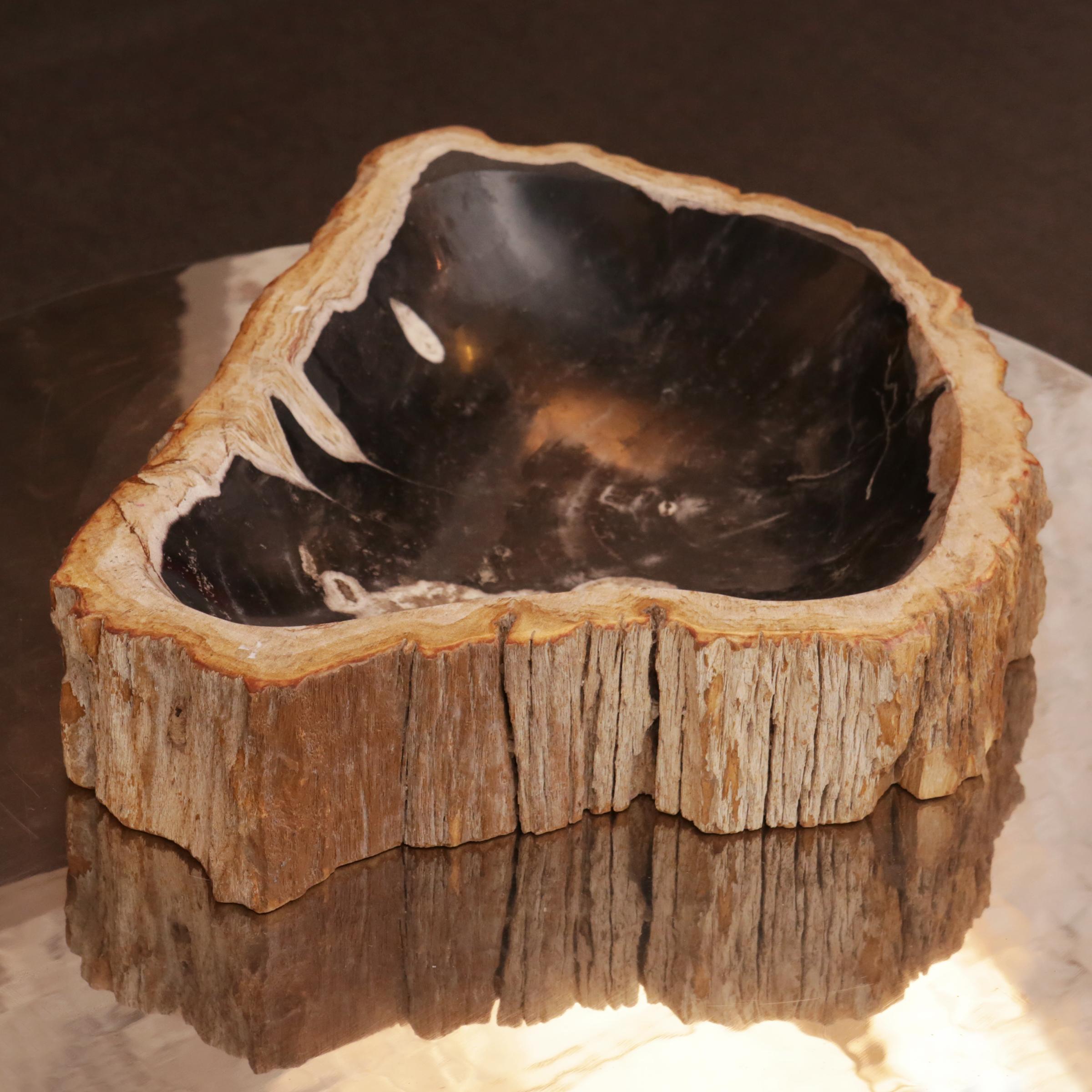 Petrified Wood C Ashtray In New Condition In Paris, FR