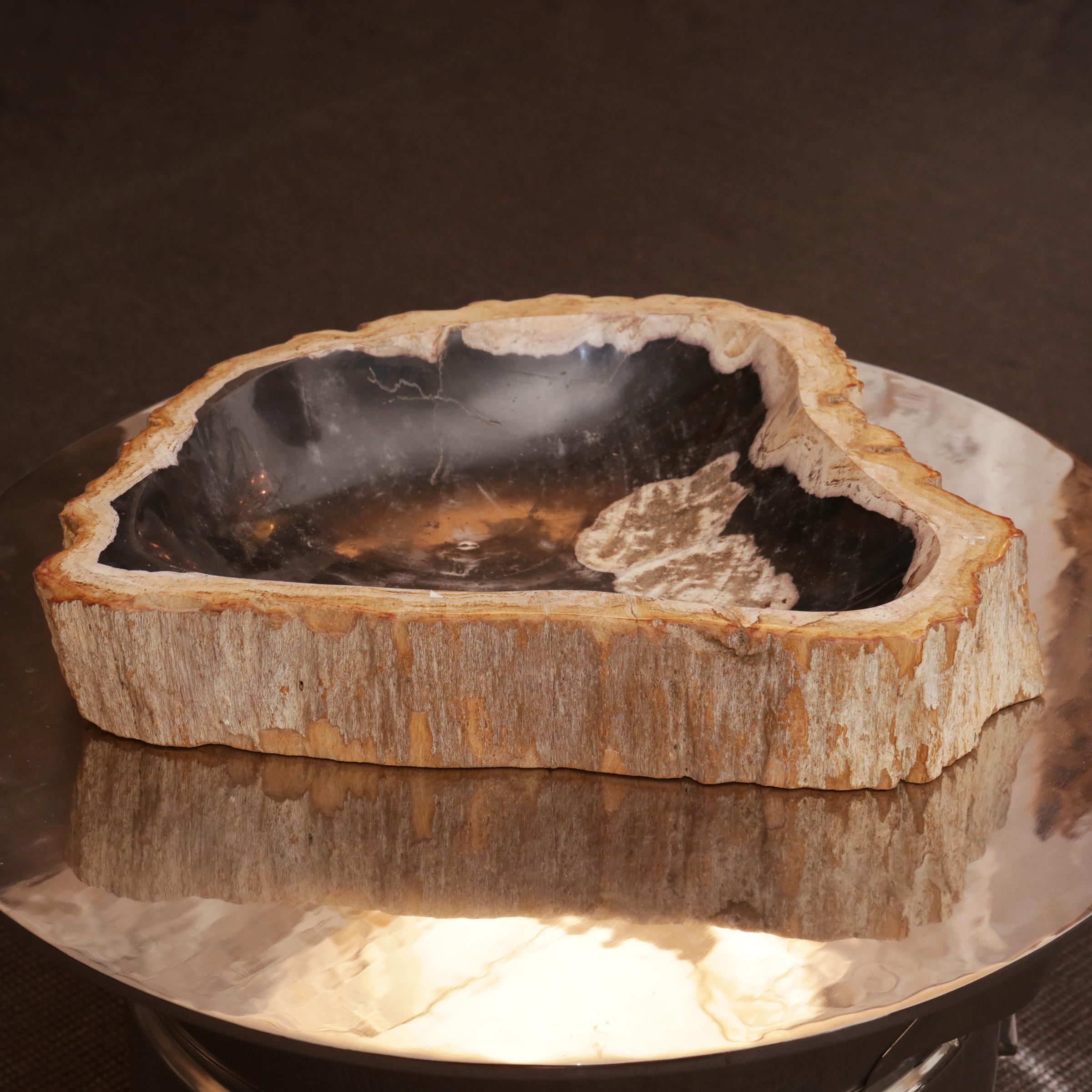 Contemporary Petrified Wood C Ashtray
