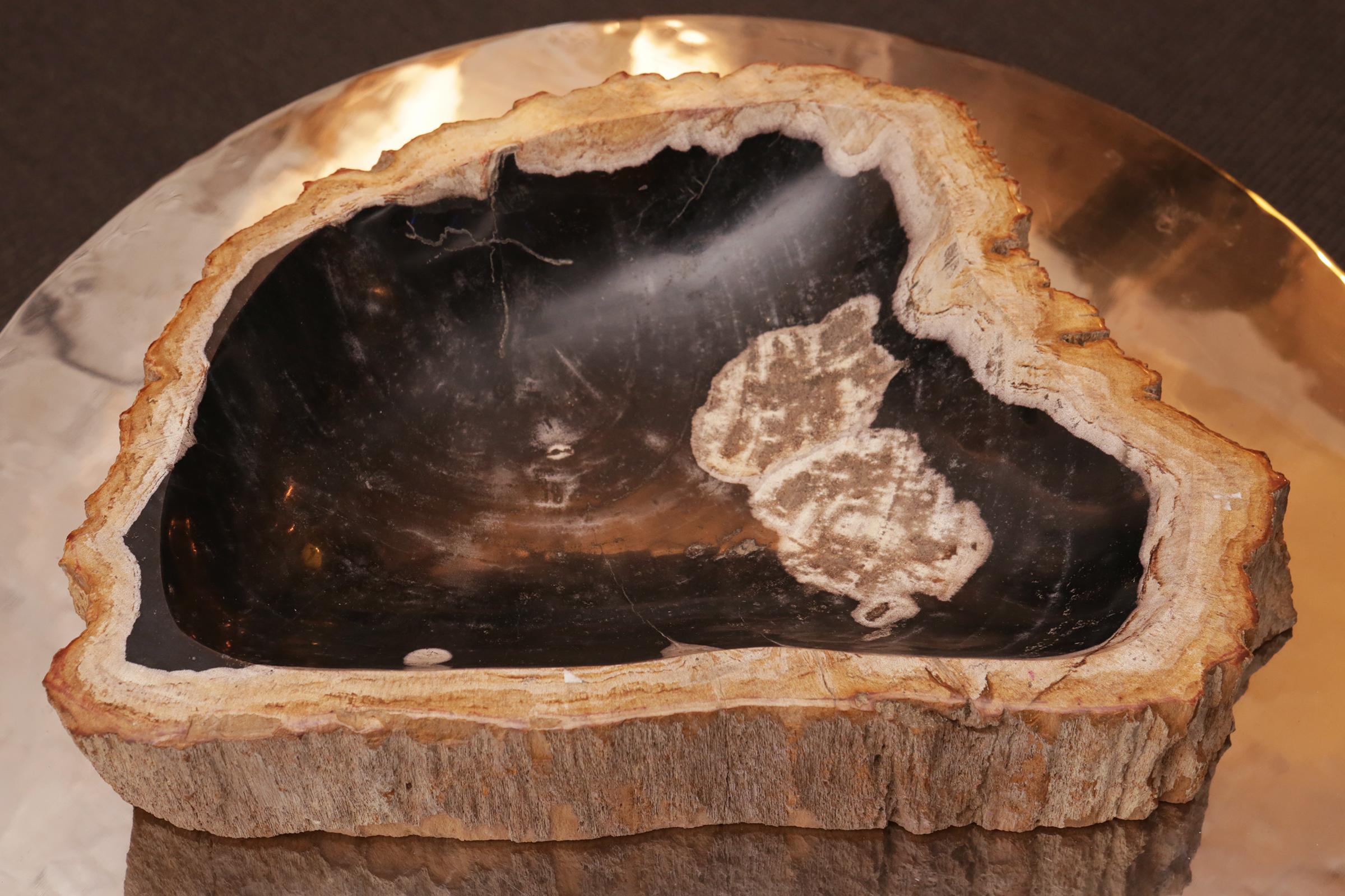 Petrified Wood C Ashtray 1
