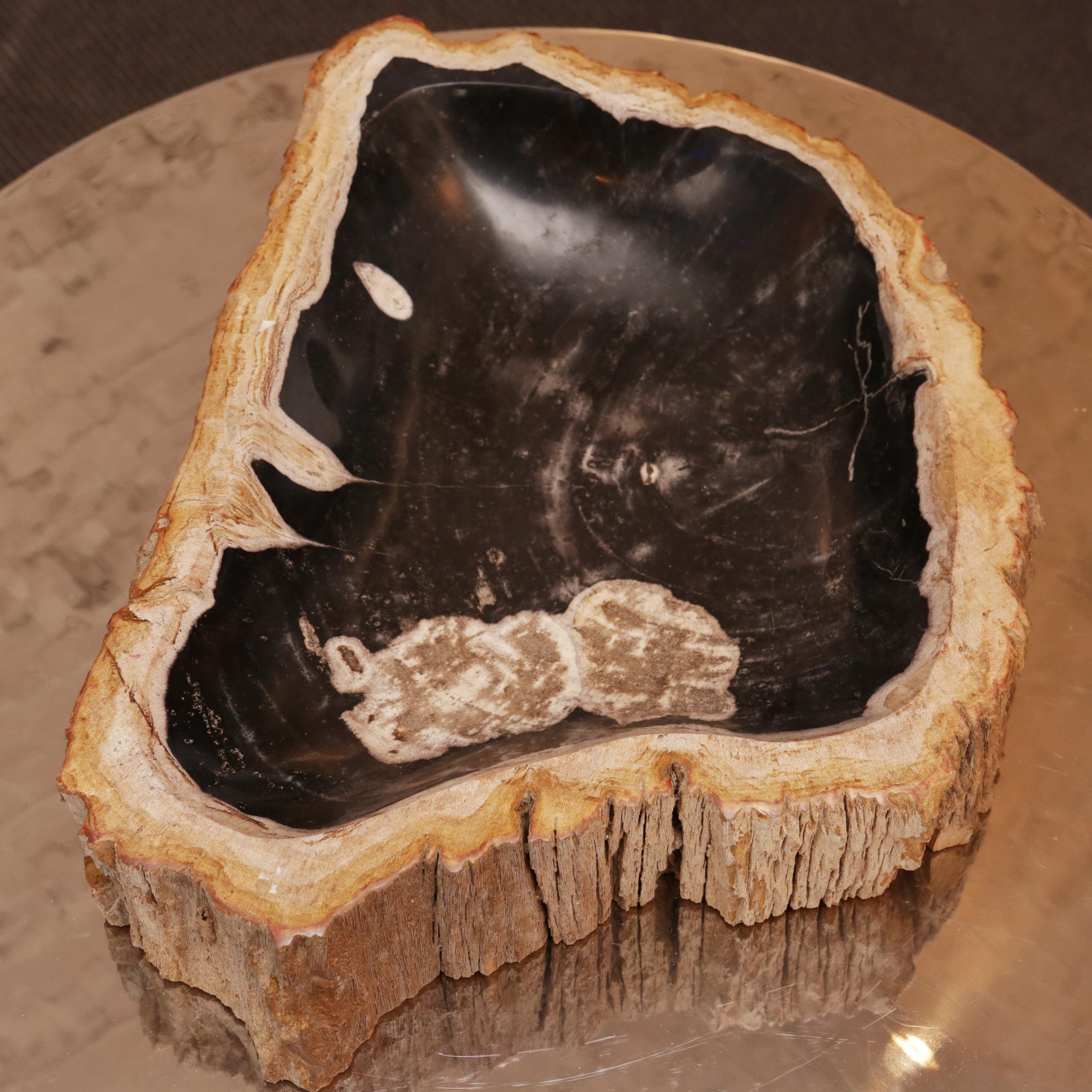 Petrified Wood C Ashtray 2